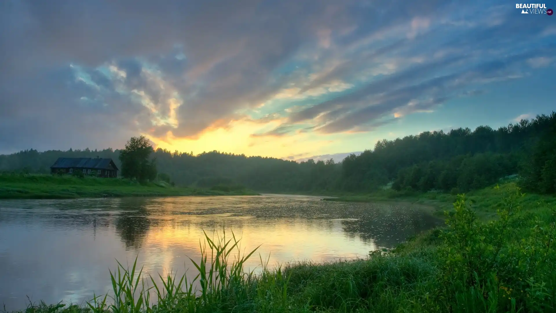 clouds, west, forest, grass, lake, sun