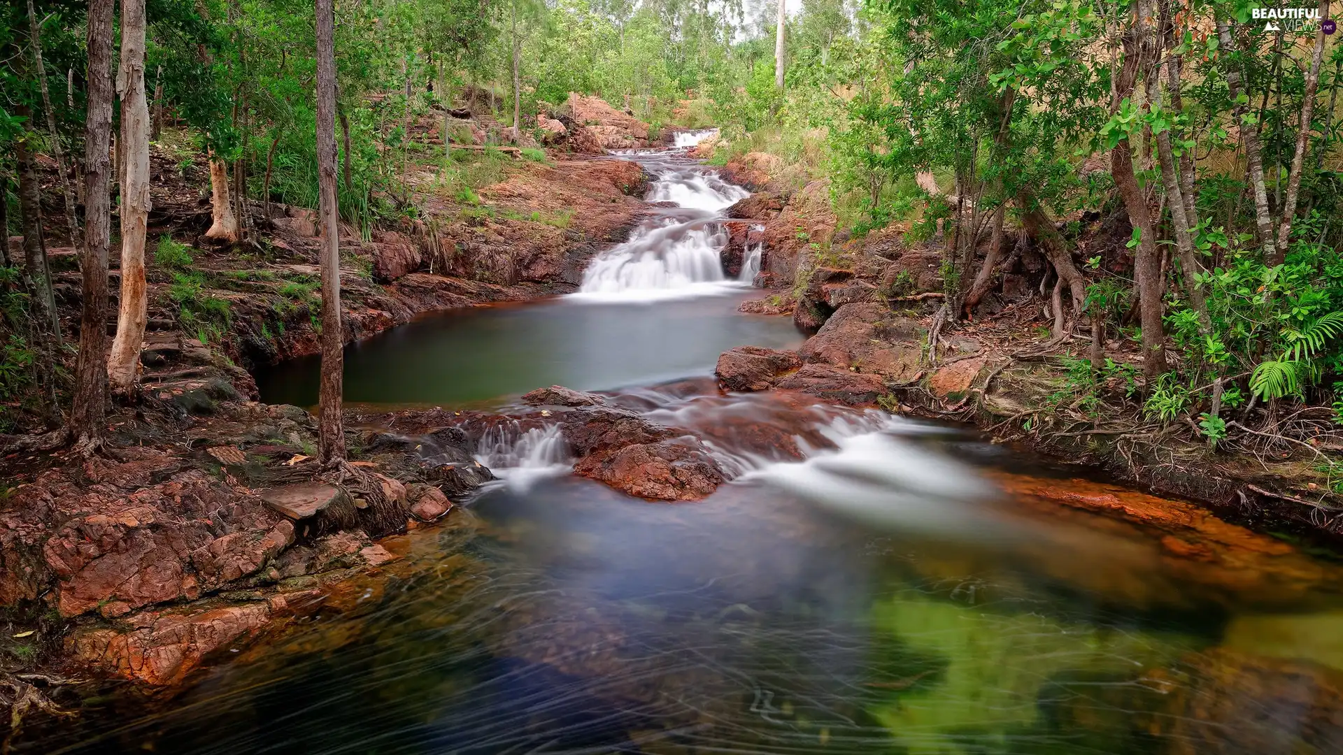 Green, rocks, River, forest