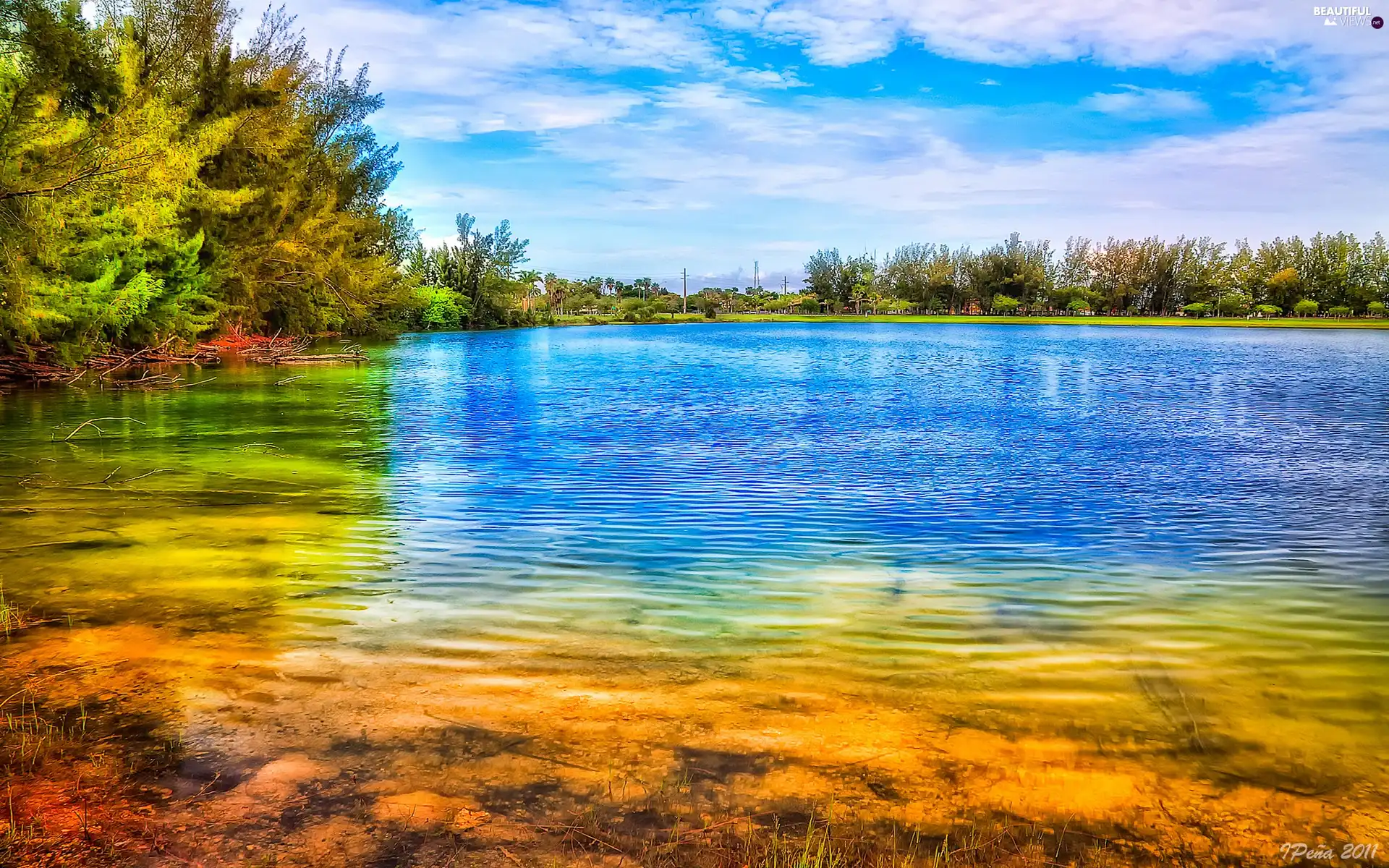 lake, forest