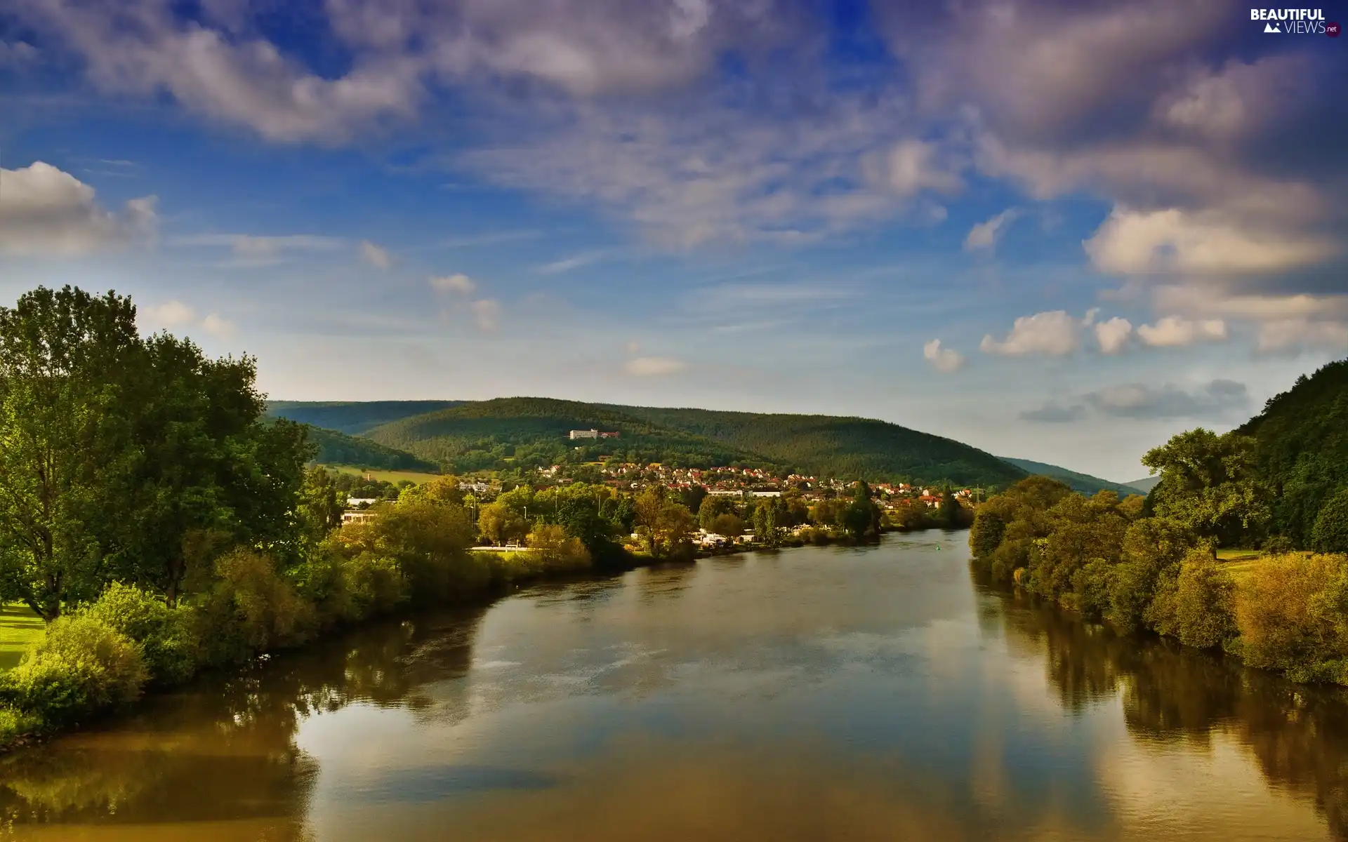 River, forest