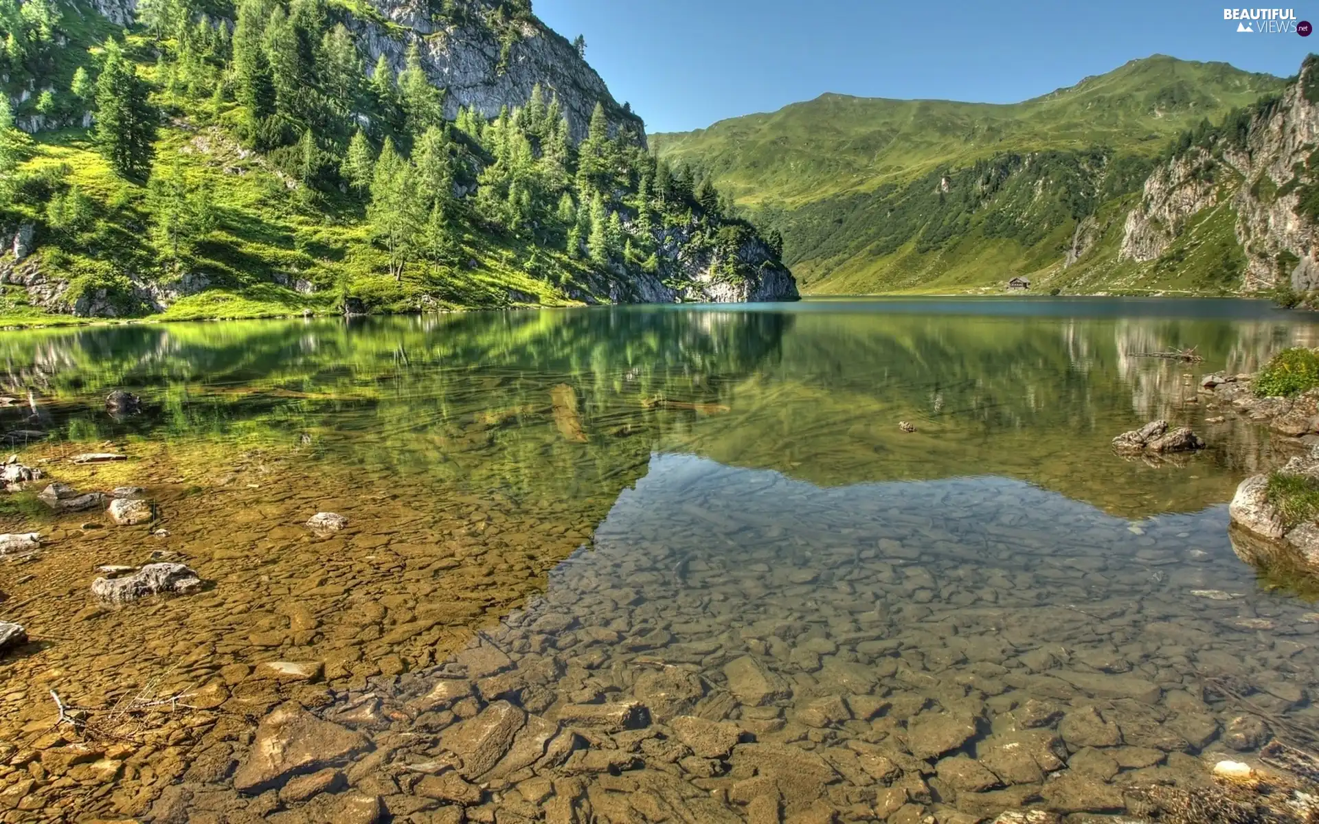 forest, Mountains, River