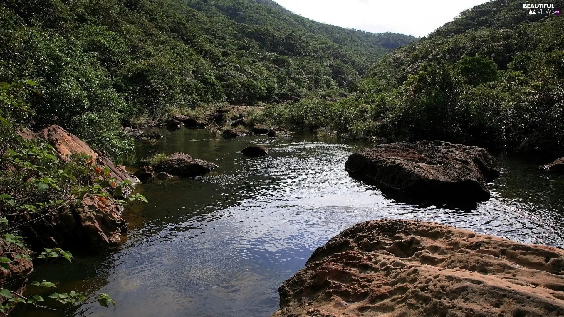 River, Stones, forest, rocks