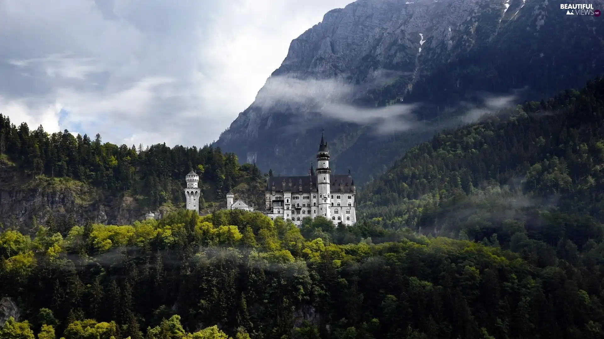 Mountains, surrounded, forests, Castle