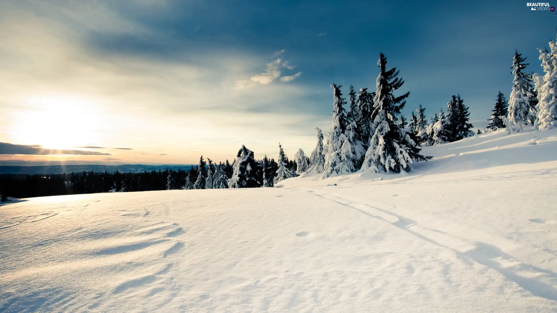 snow, forest, Frost, drifts