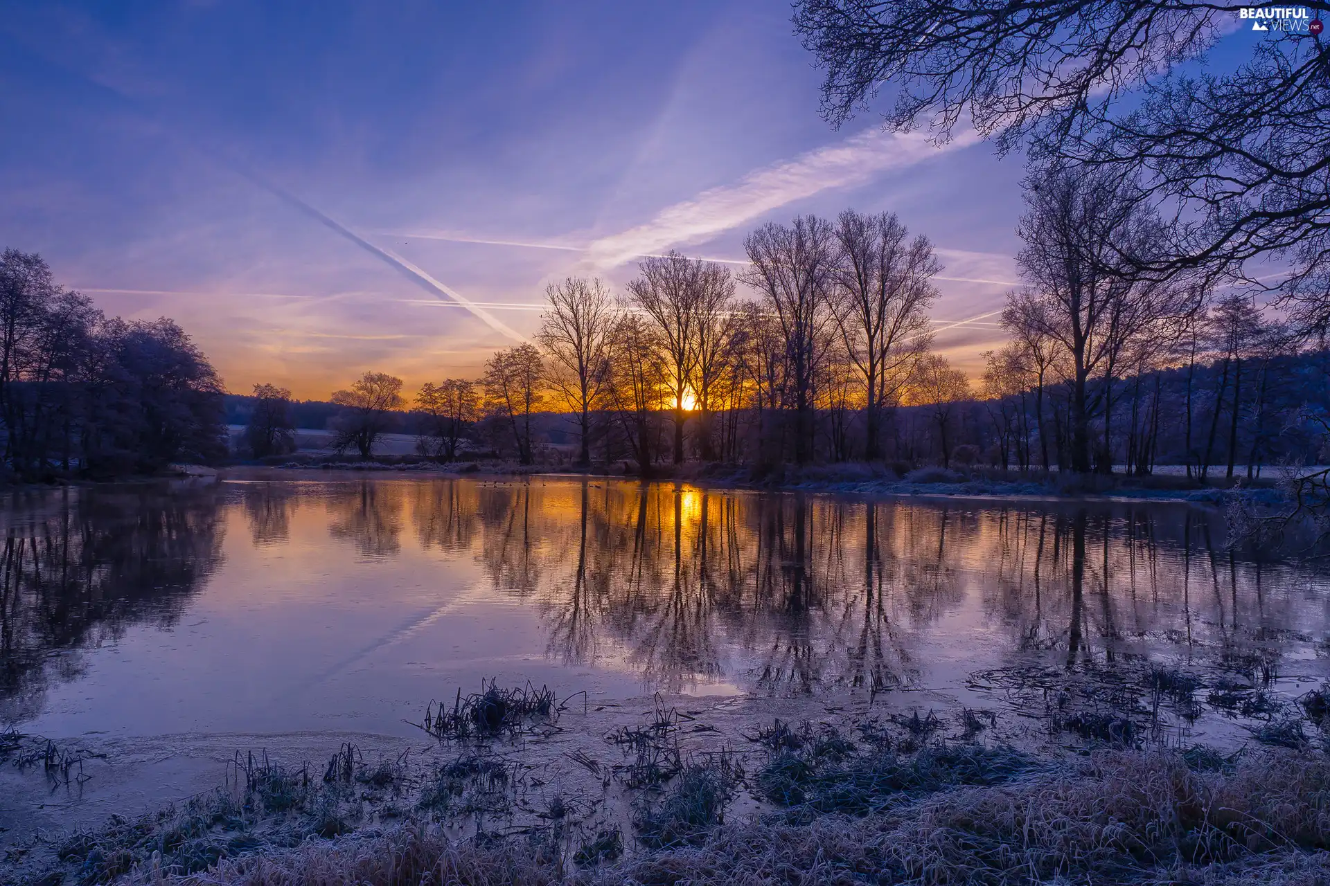 trees, Sunrise, Bavaria, Germany, viewes, Naab River