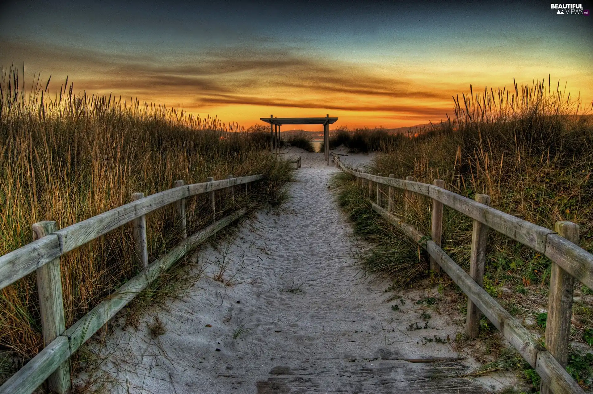 grass, caret, sun, Beaches, west