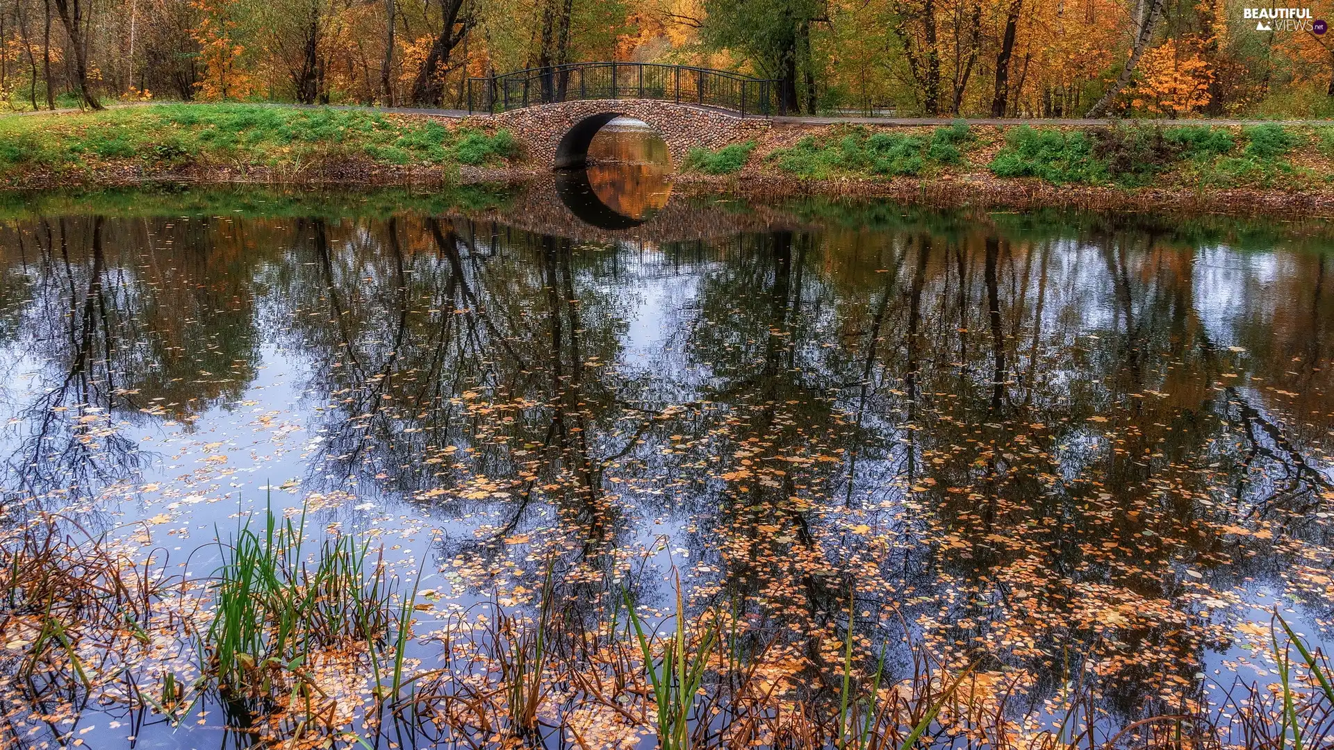 River, grass, stone, bridges, autumn