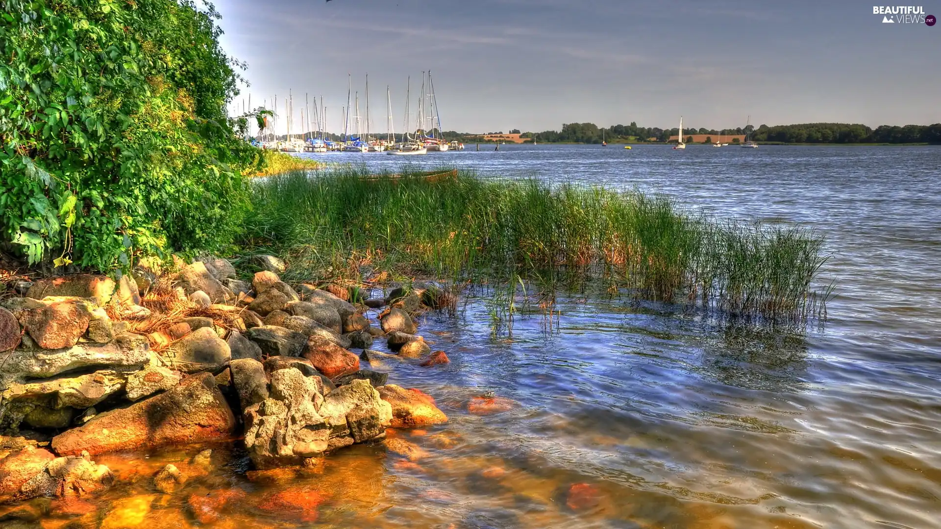 grass, River, Stones