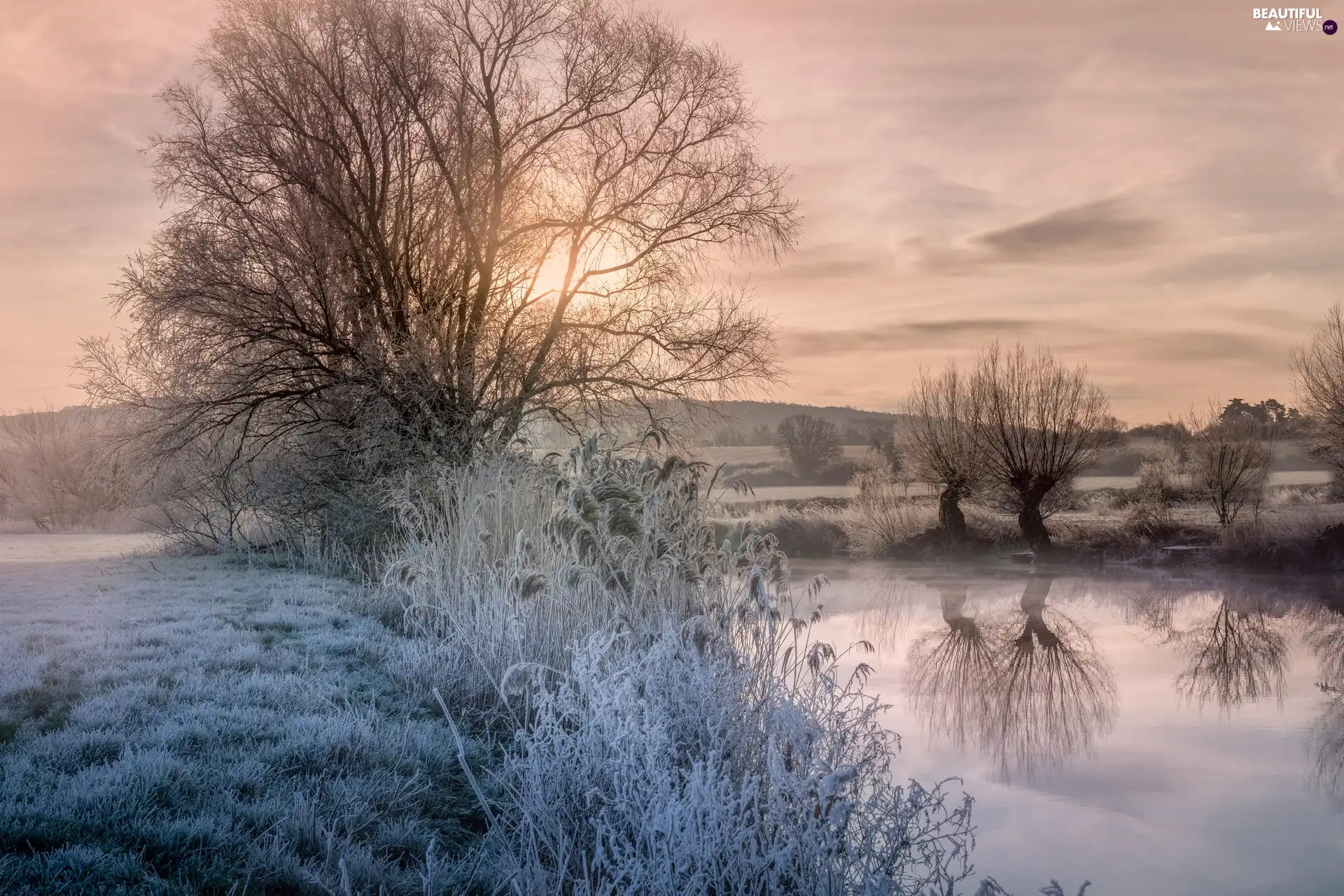 viewes, winter, frosted, grass, River, trees