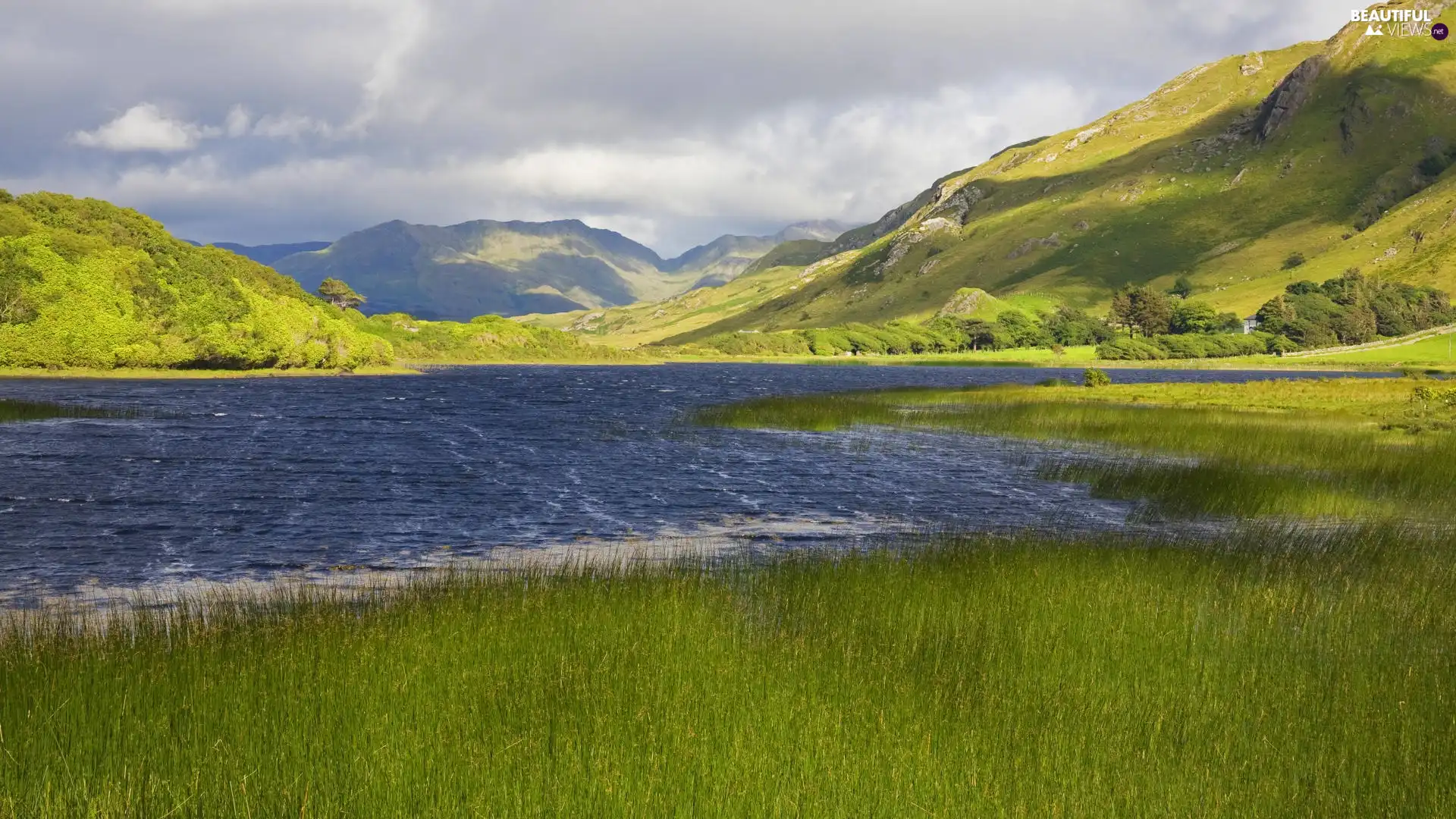 grass, Mountains, water