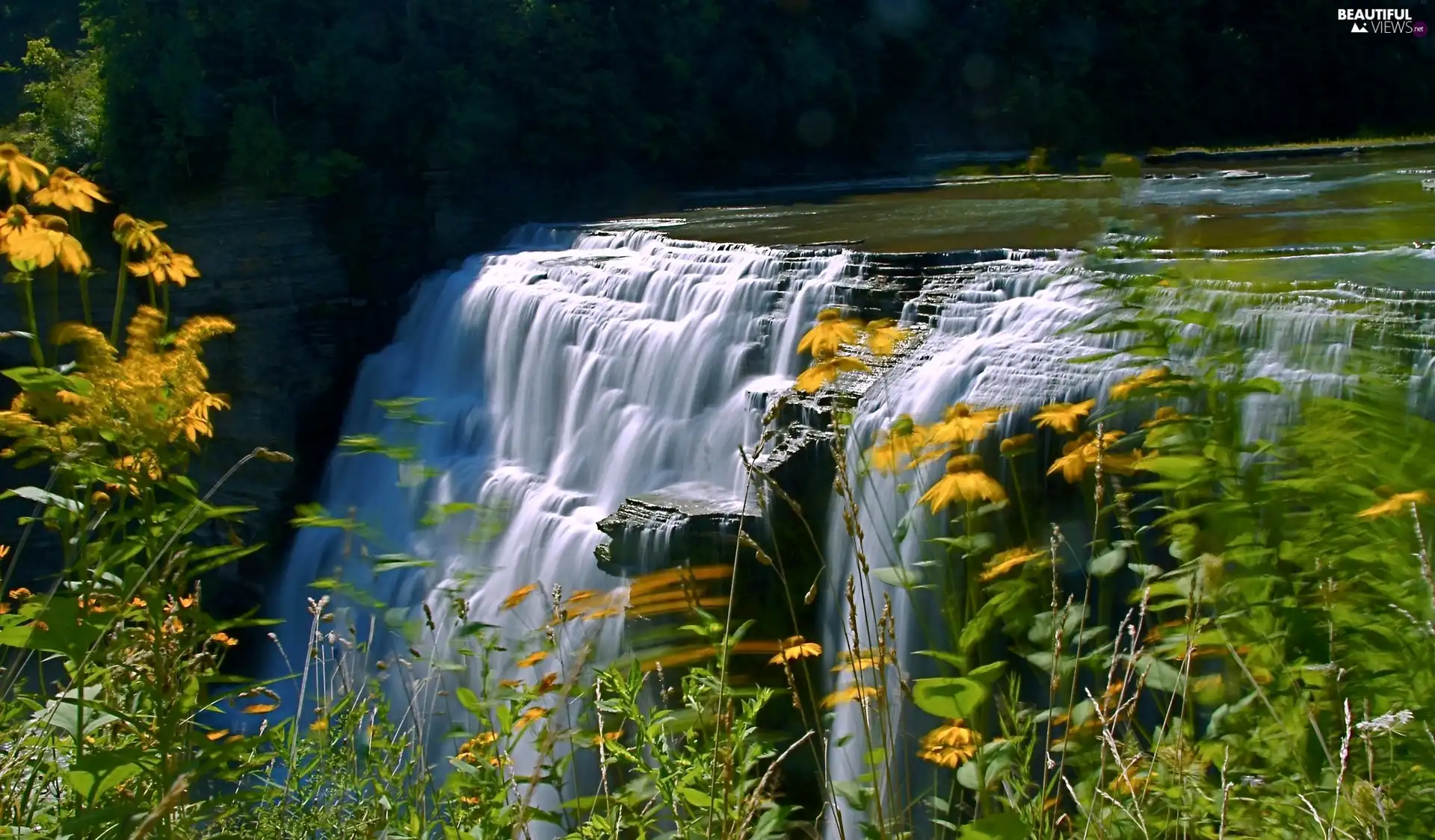 waterfall, Flowers, grass, rocks