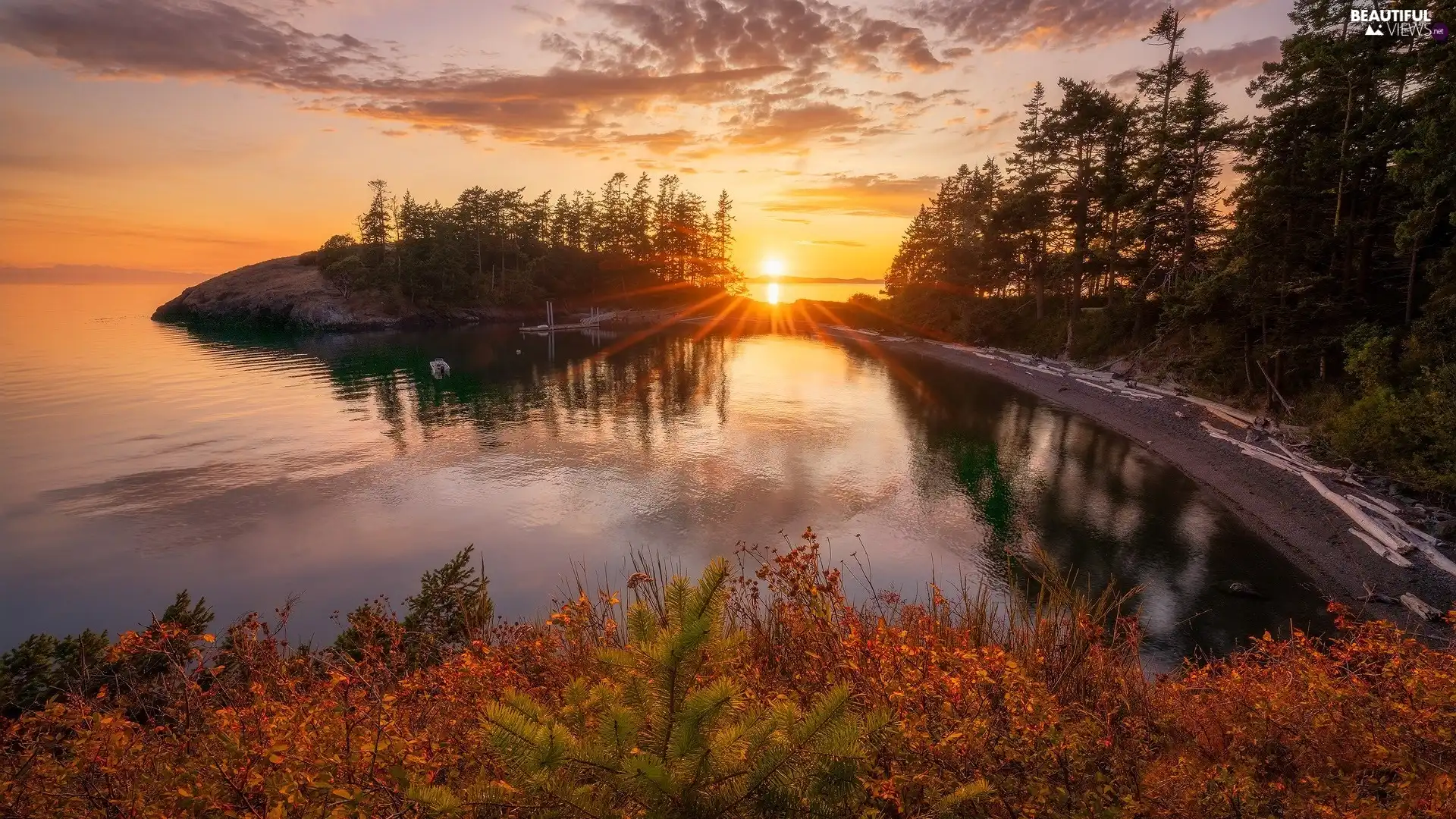 trees, lake, Bush, Great Sunsets, viewes, rocks