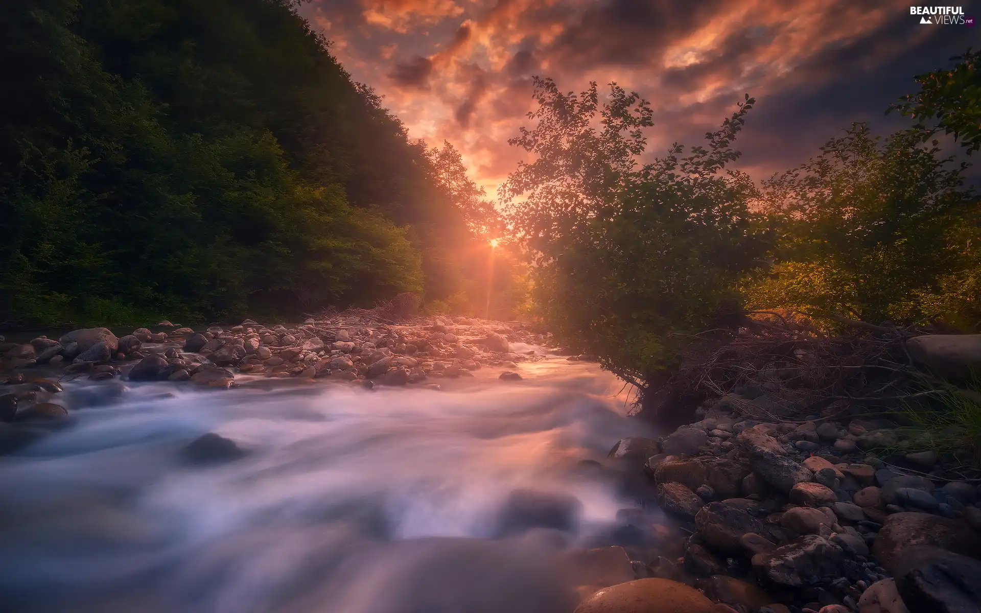 trees, River, forest, Great Sunsets, viewes, Stones