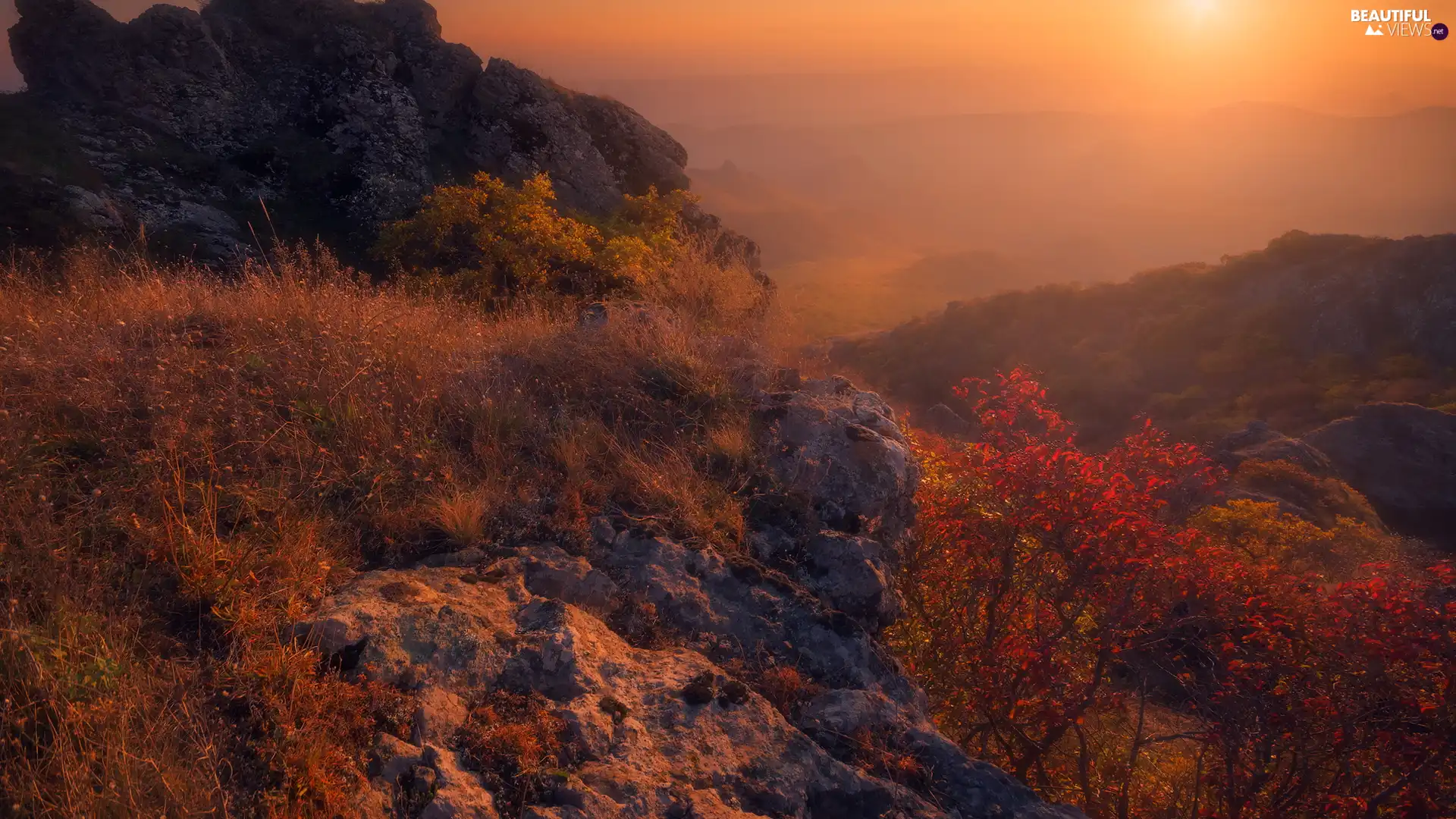 rocks, autumn, Plants, Great Sunsets, color, Mountains