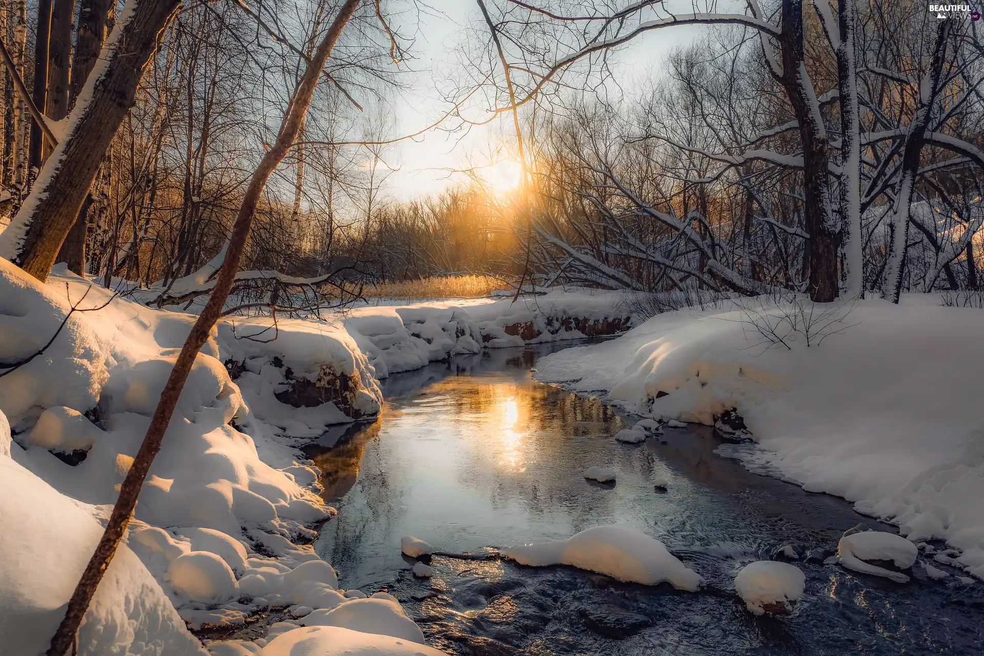 trees, viewes, winter, Great Sunsets, River