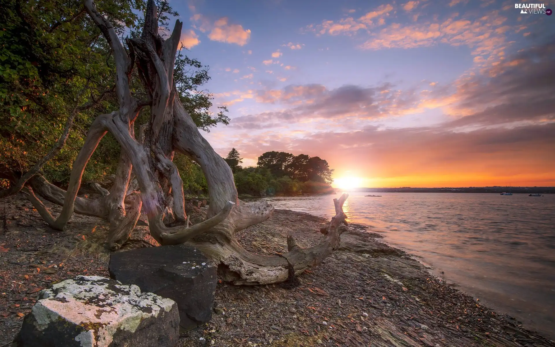 coast, trees, Stones, viewes, Lod on the beach, sea, Great Sunsets, dry