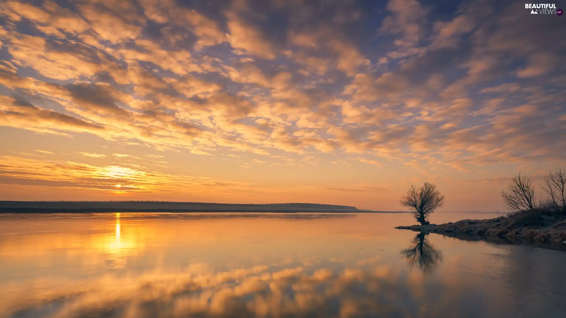 lake, Great Sunsets, clouds, trees