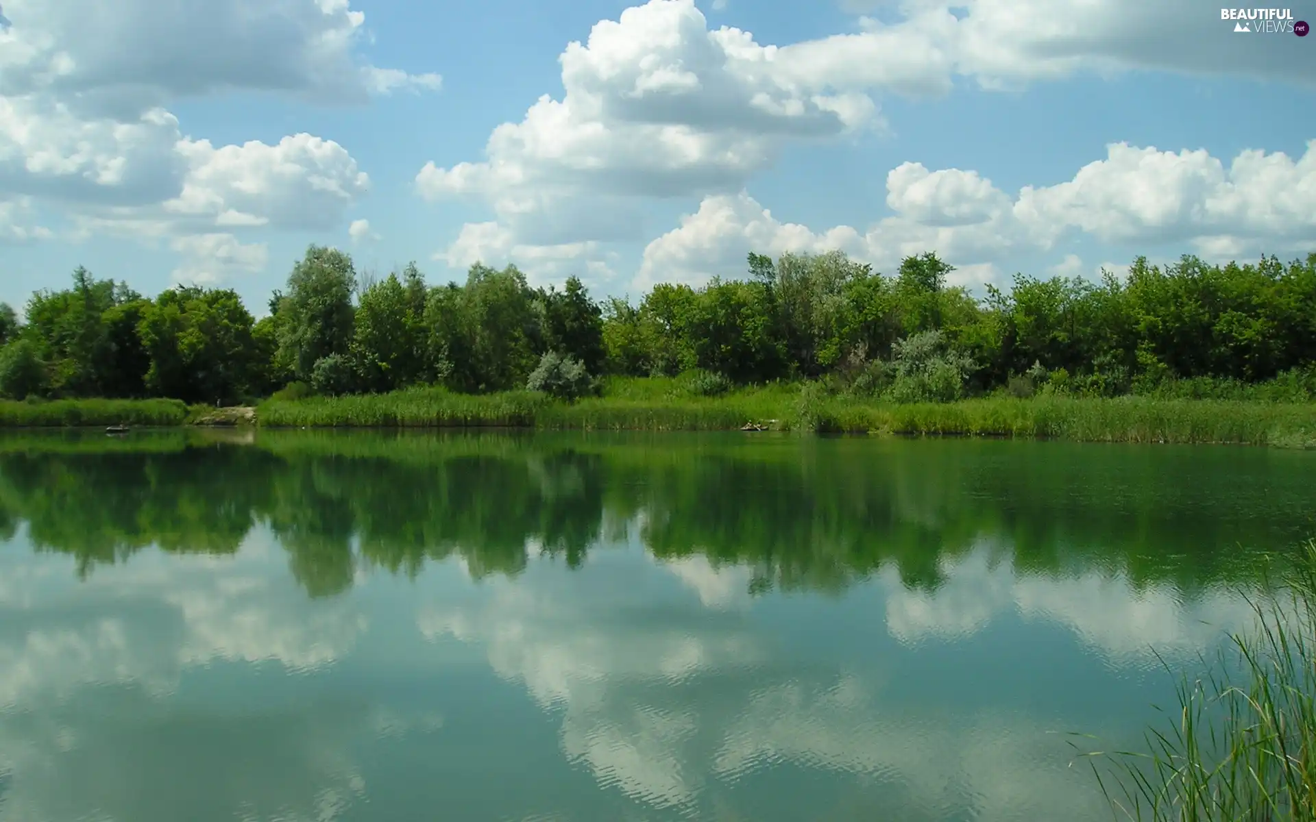 lake, viewes, green, trees