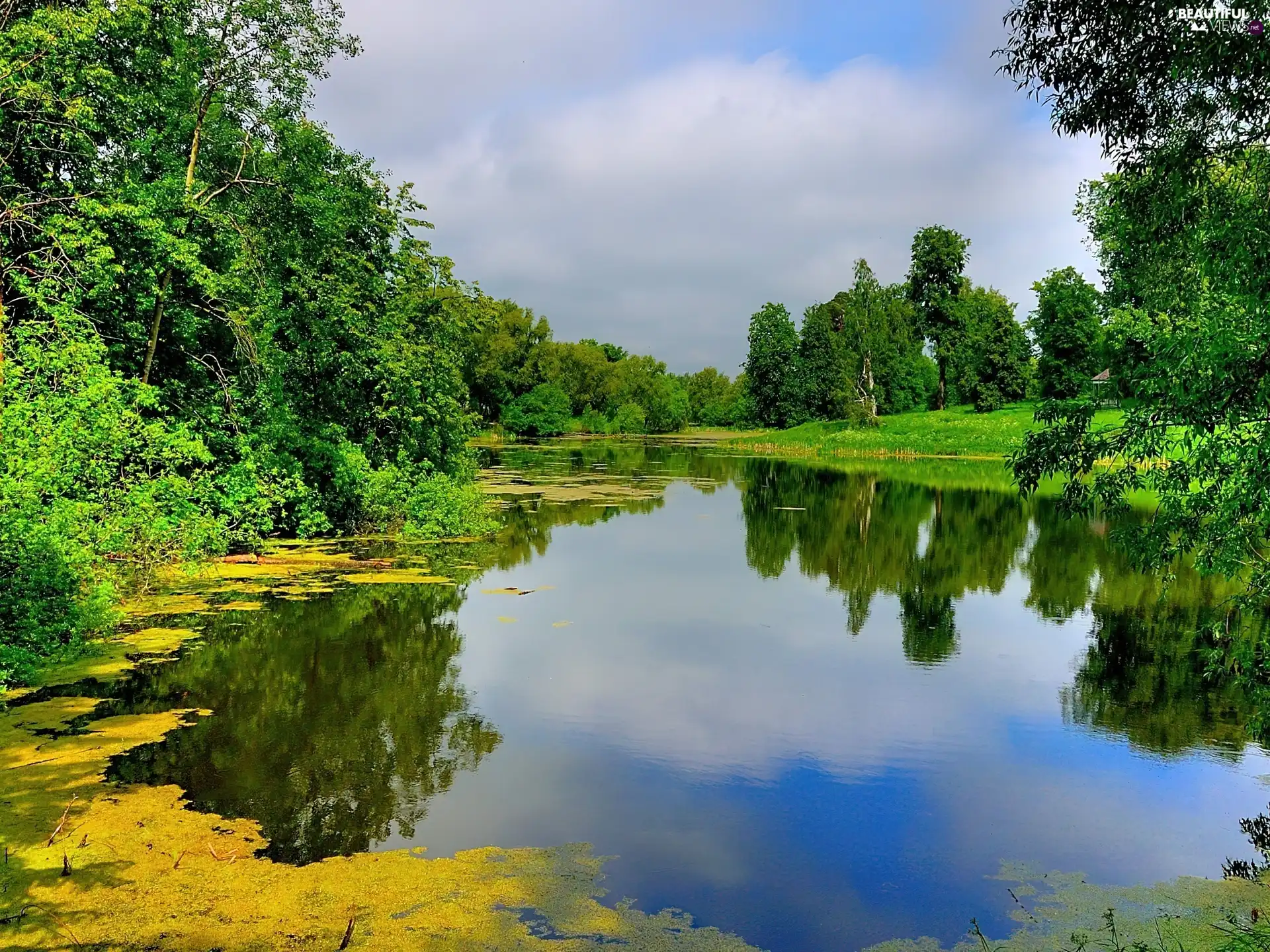 lake, viewes, green, trees