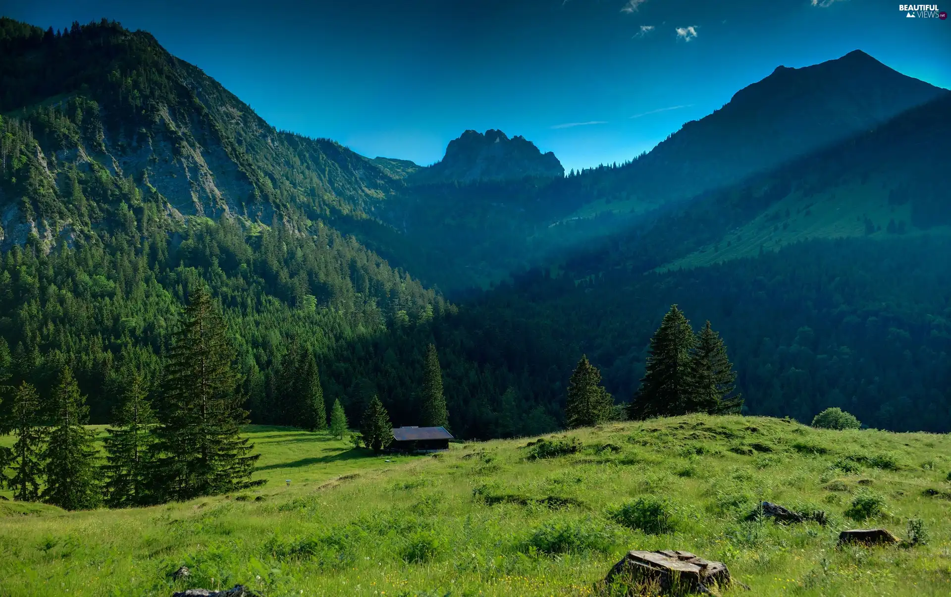 Mountains, green