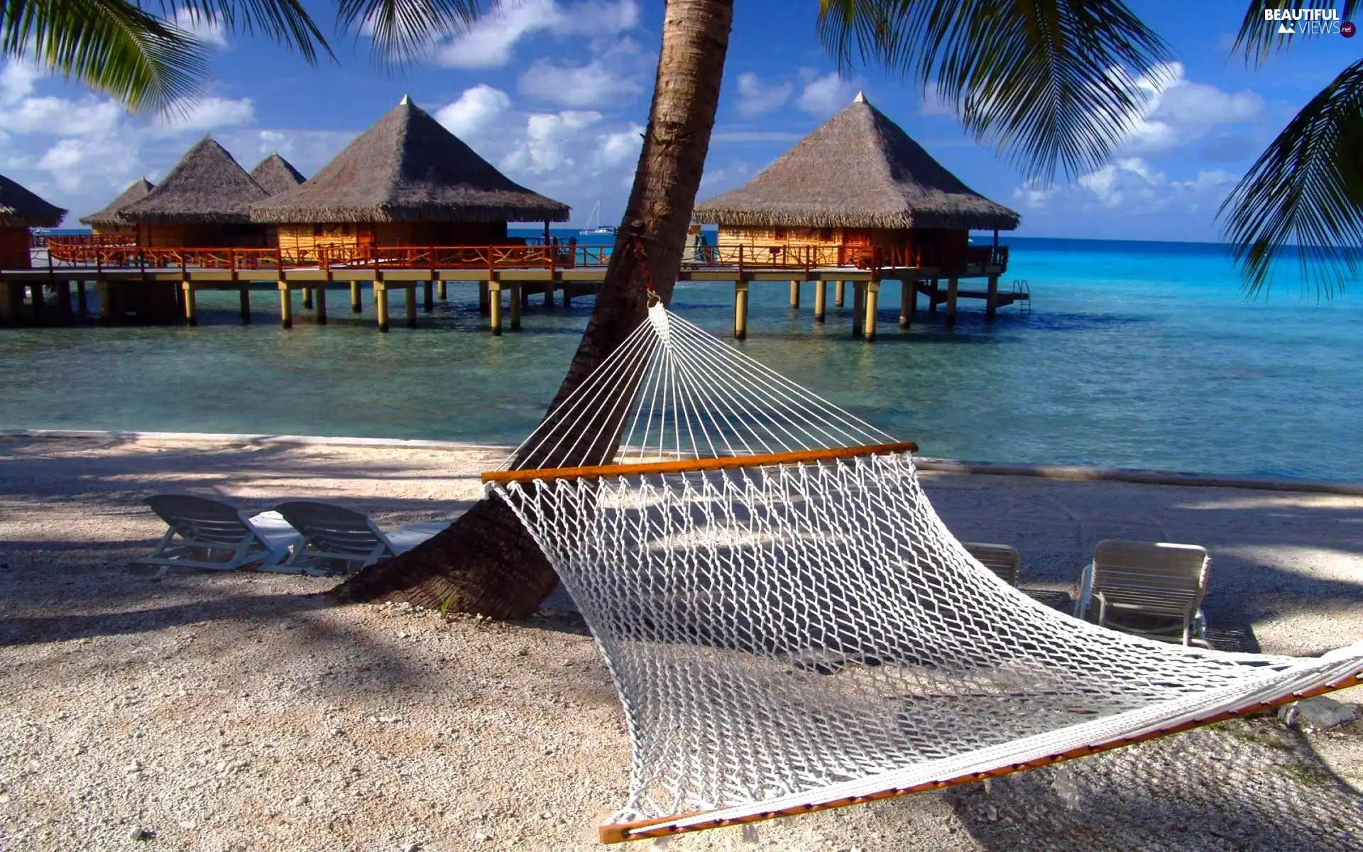 Hammock, sea, Houses