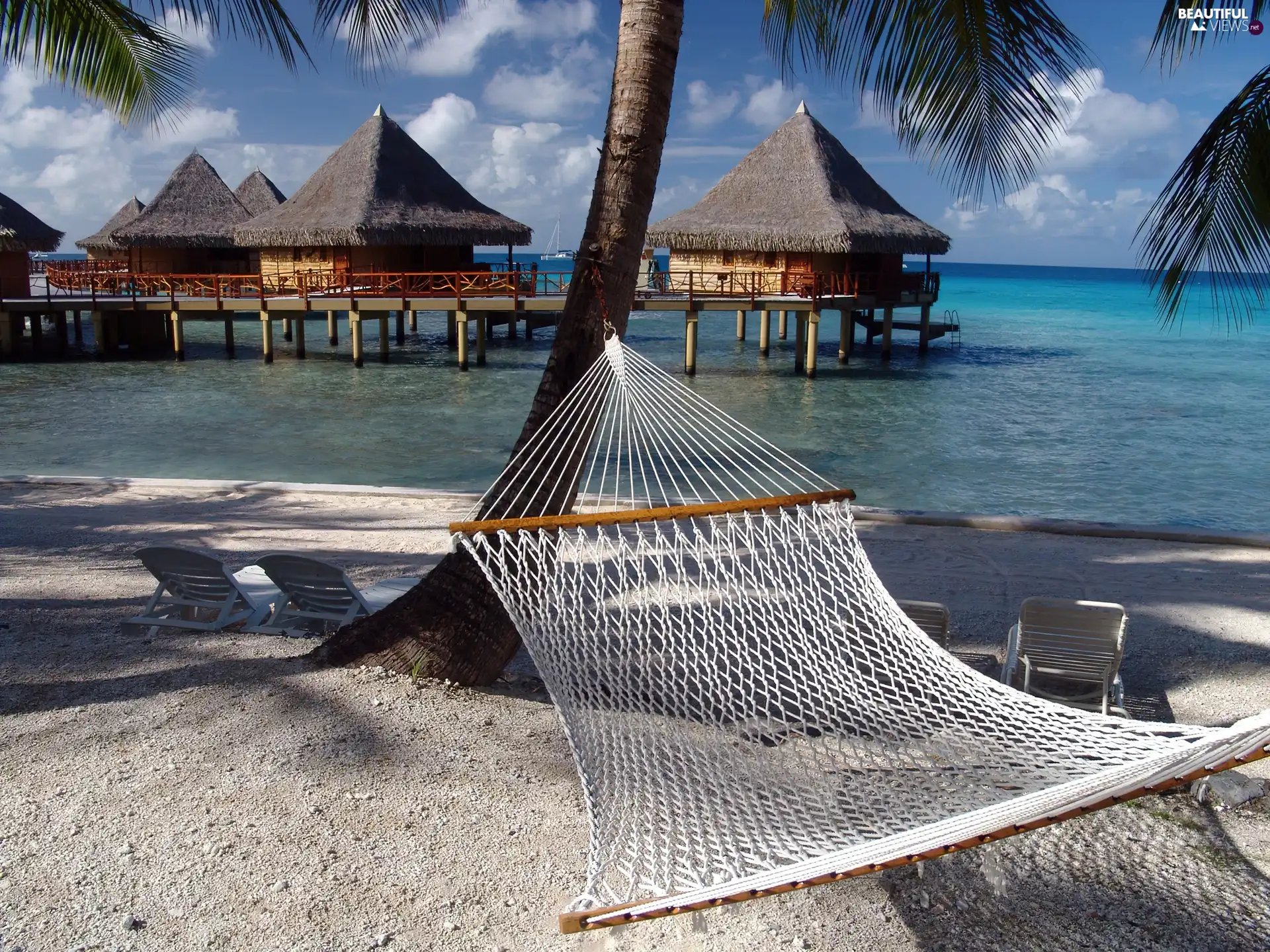 Hammock, trees, water, Sand, Houses