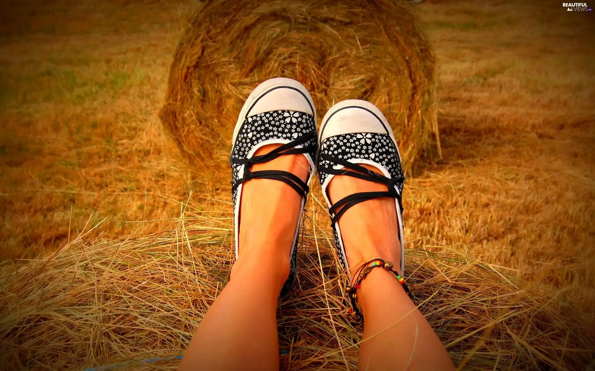 legs, Bele, hay, sneakers