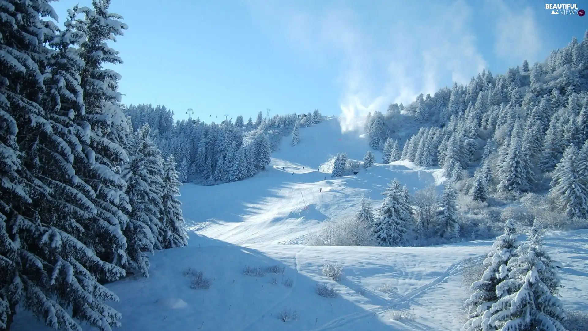 snow, viewes, Hill-side, trees