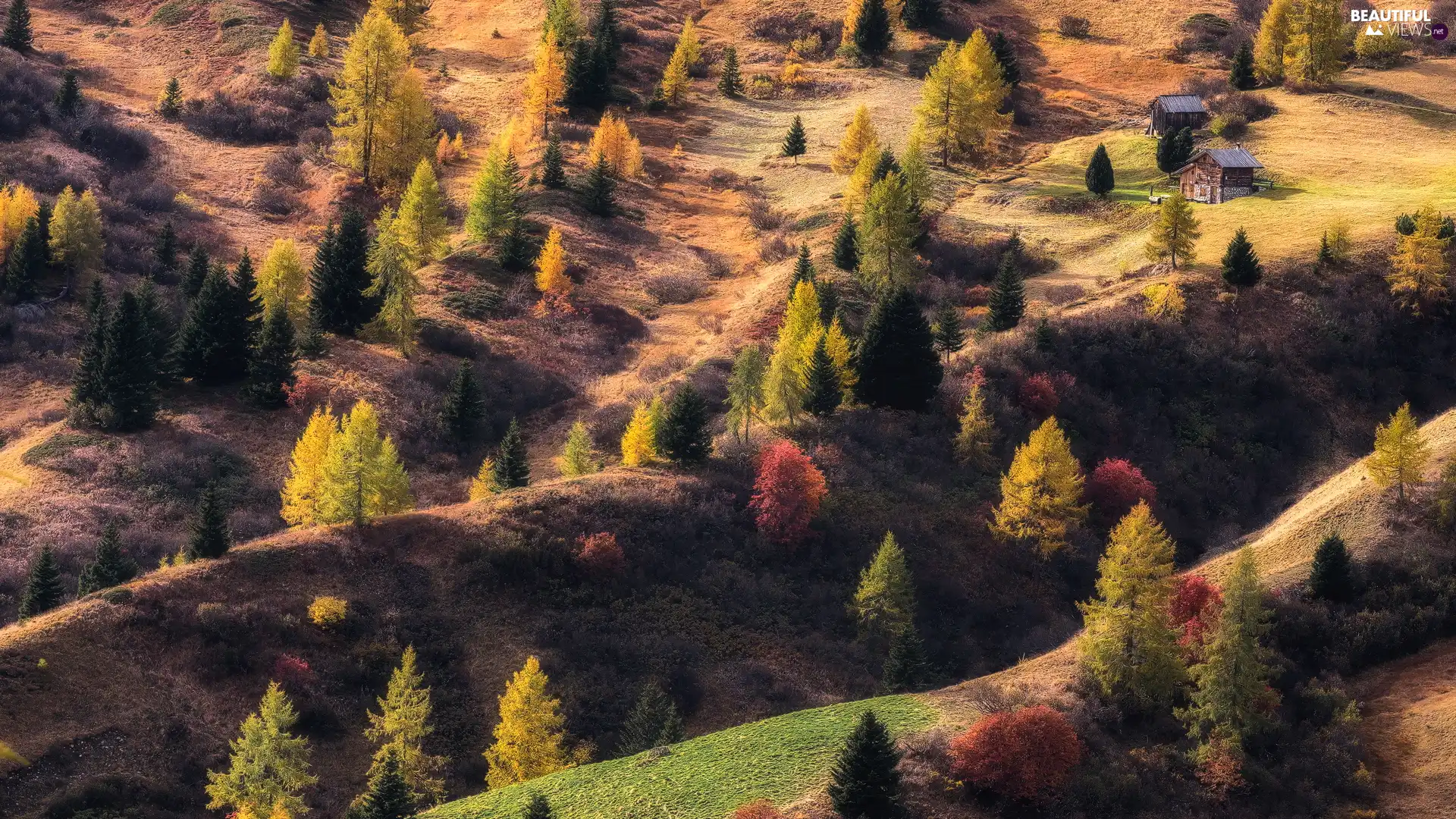 trees, autumn, Houses, hills, viewes, color