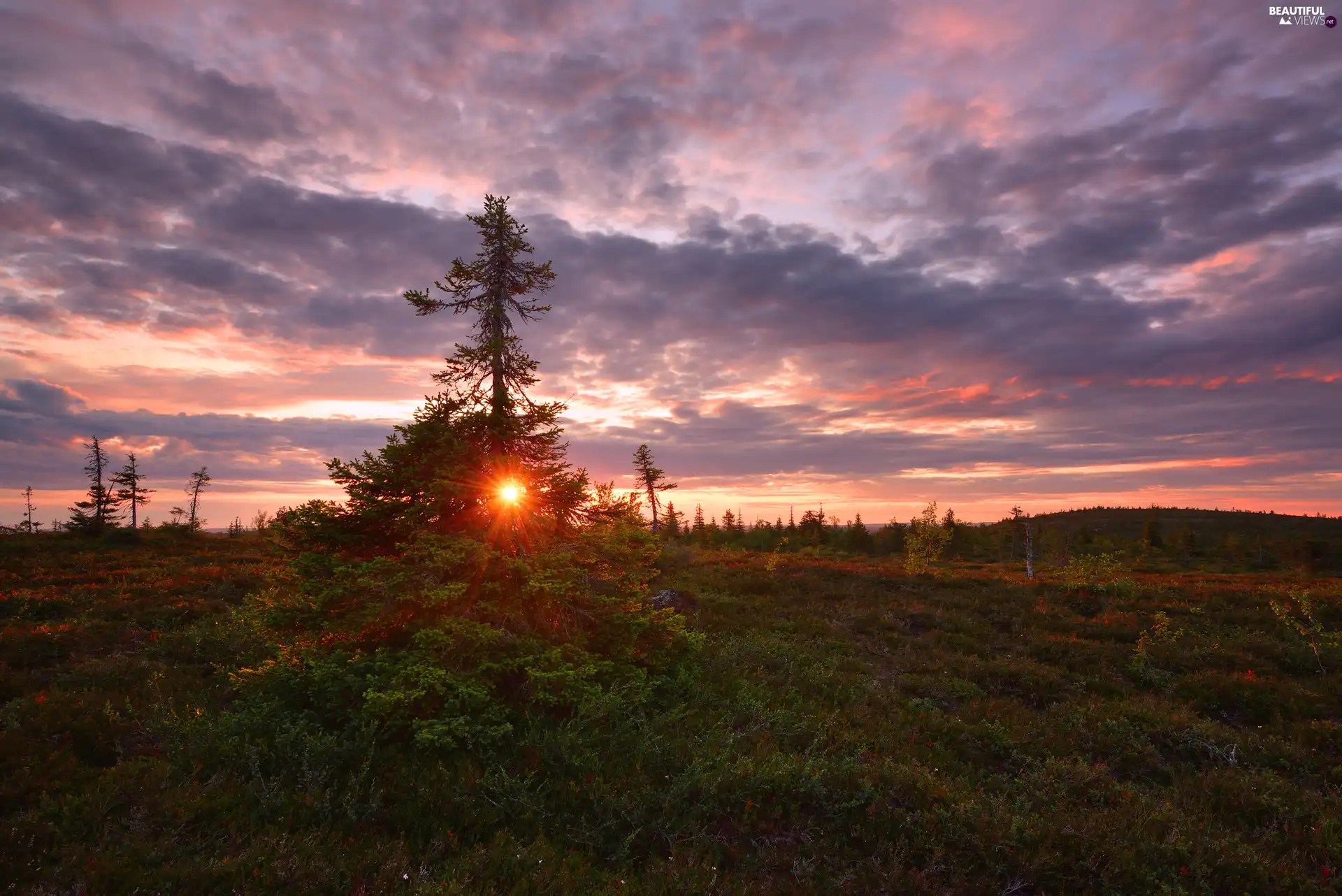 clouds, Great Sunsets, trees, VEGETATION, The Hills, light breaking through sky