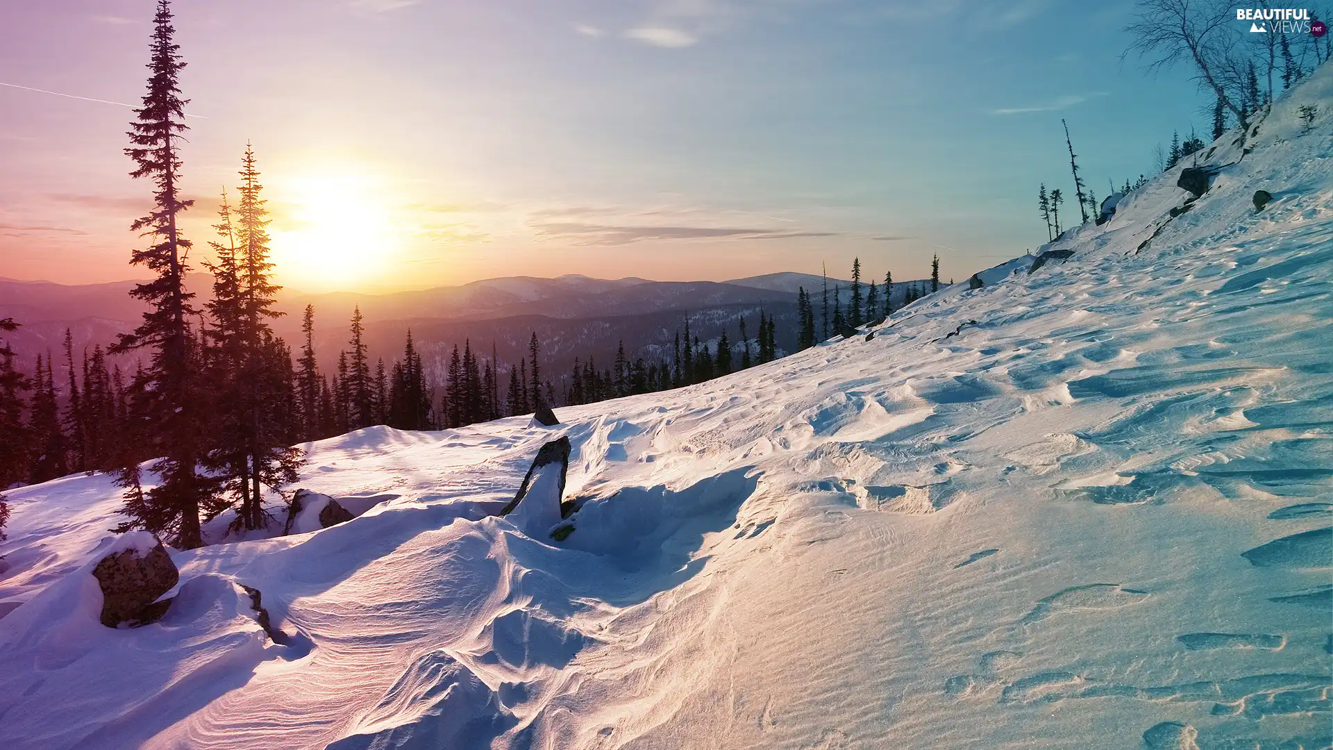 trees, winter, The Hills, snow, viewes, Sunrise