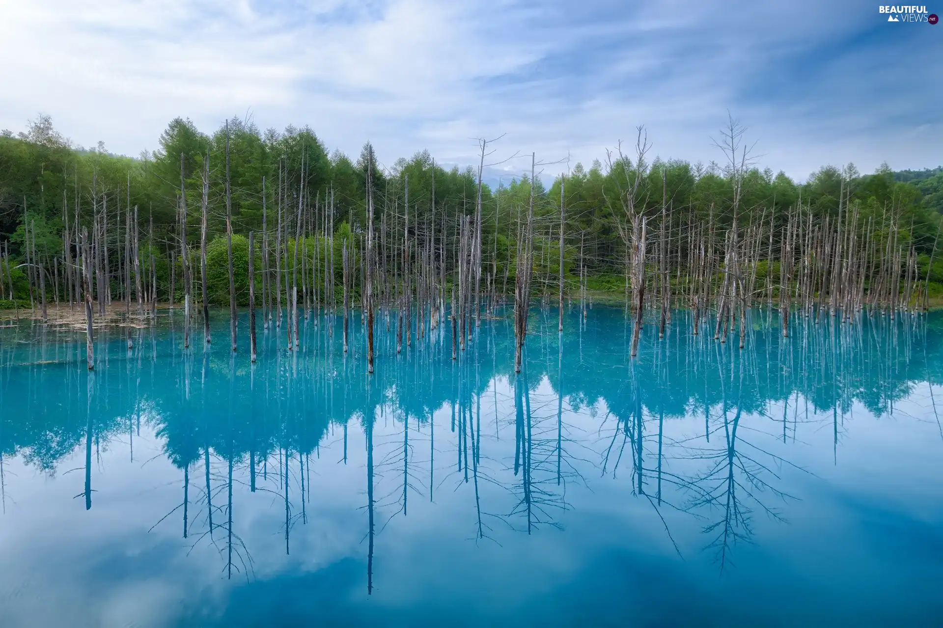 Hokkaido, blue, trees, viewes, Japan, Pond - car