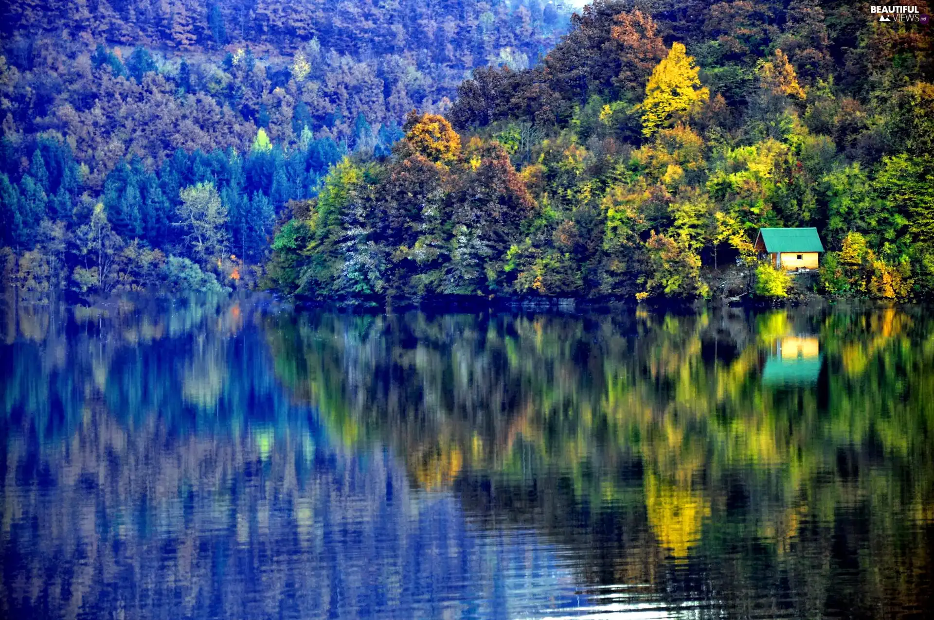 lake, woods, Home, Mountains