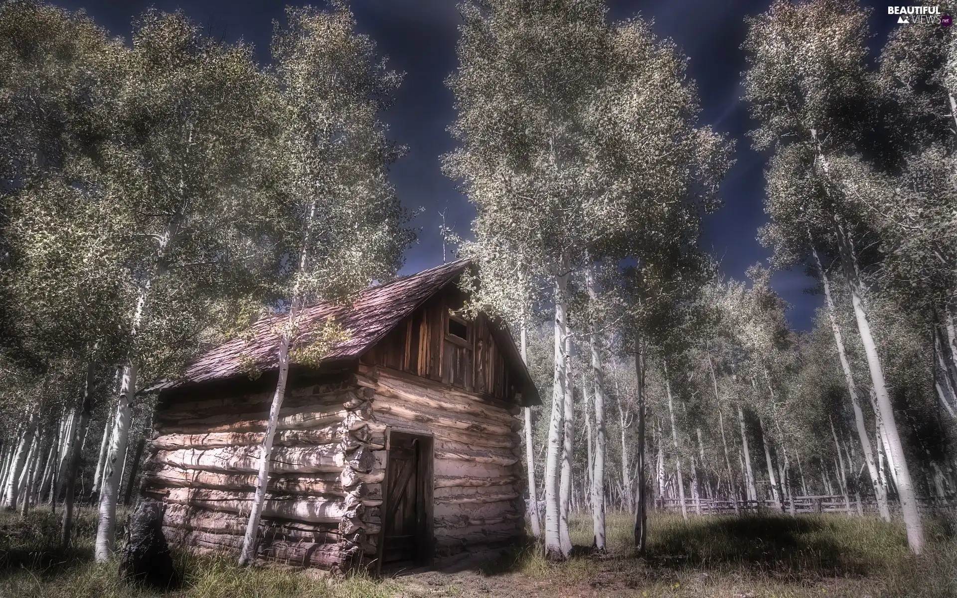 Home, trees, viewes