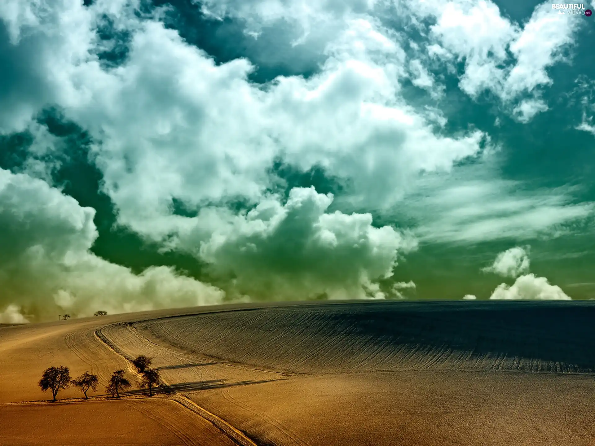 horizon, Field, clouds