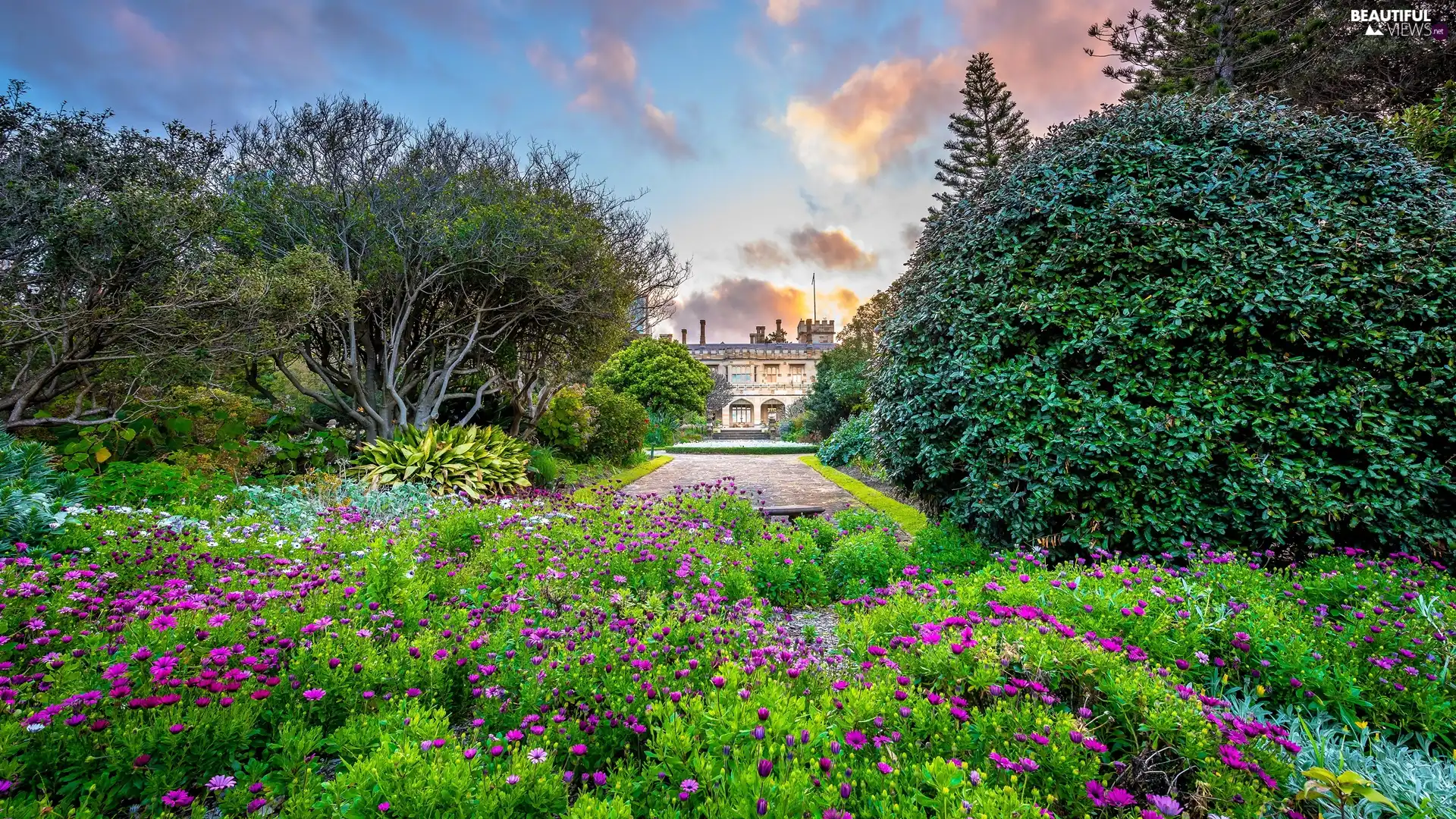 viewes, Park, Flowers, House, Bush, trees