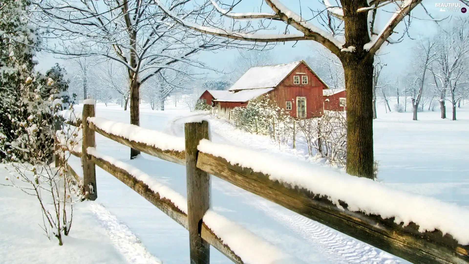 Way, Fance, trees, snow, winter, house, viewes