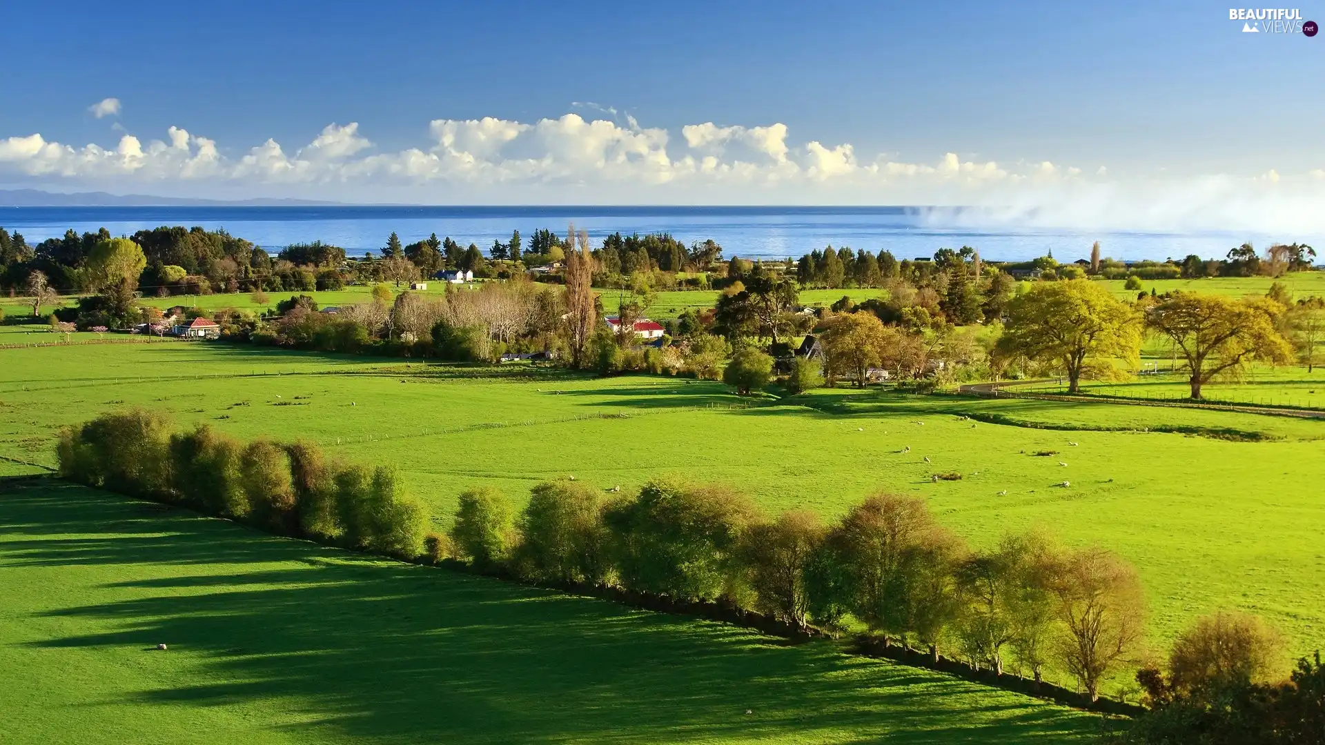 Houses, clouds, trees, viewes, lake