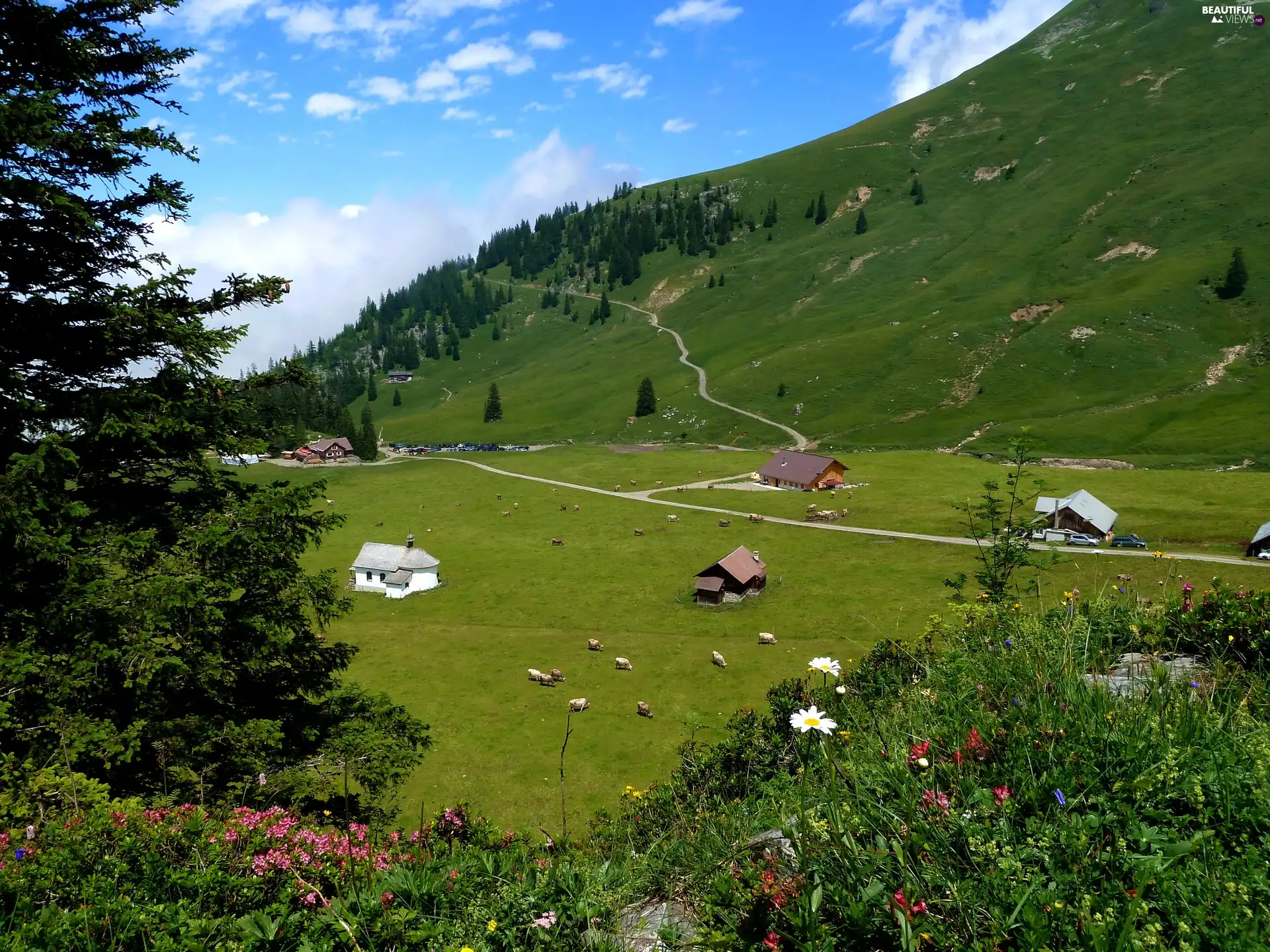 Houses, medows, hills, woods, field