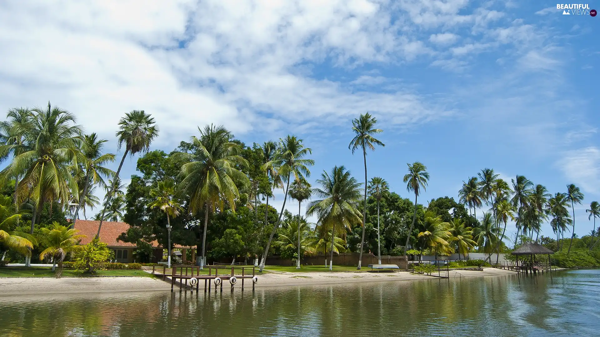 Houses, Beaches, Palms