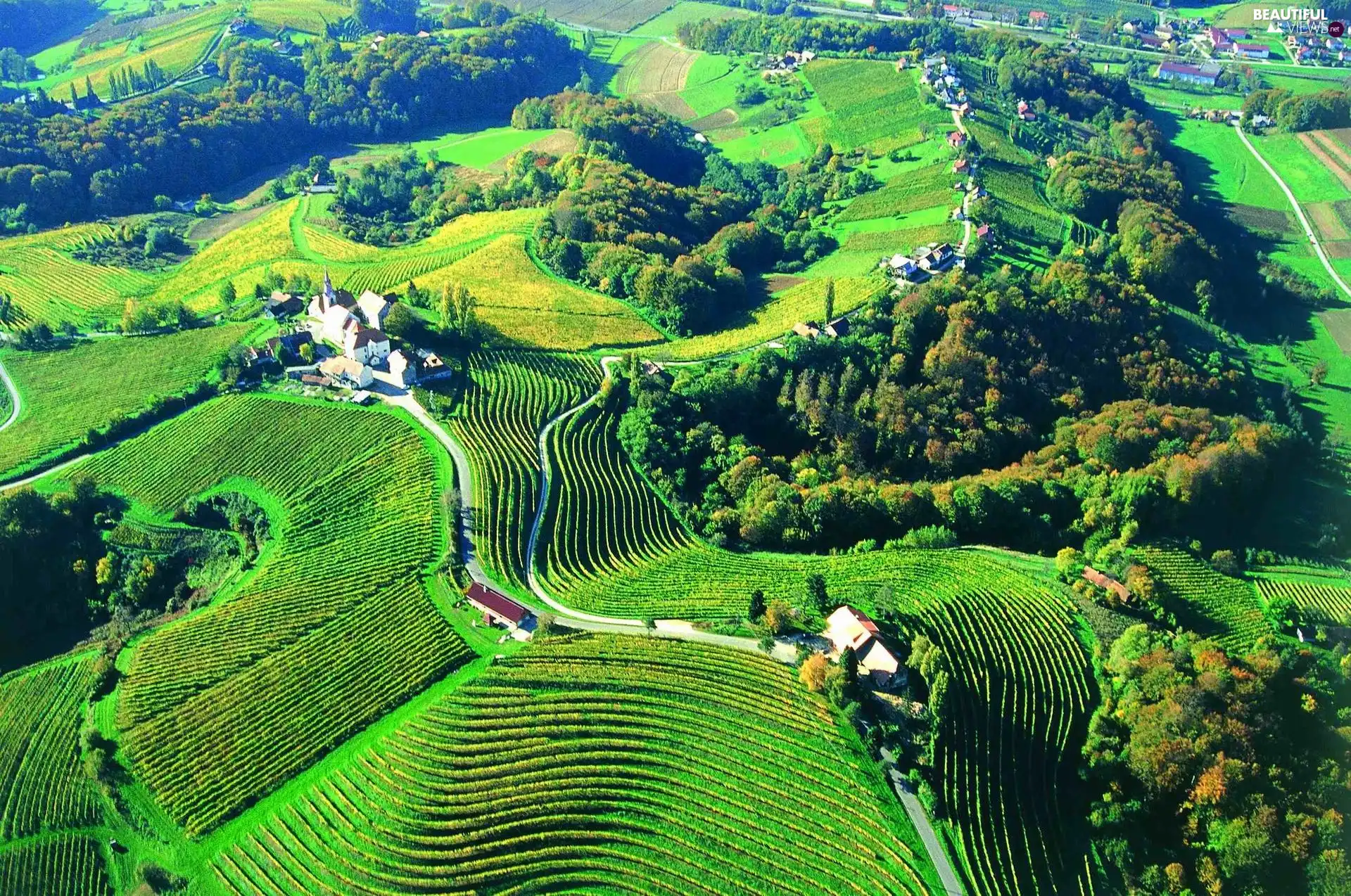 Slovenia, woods, Houses, field