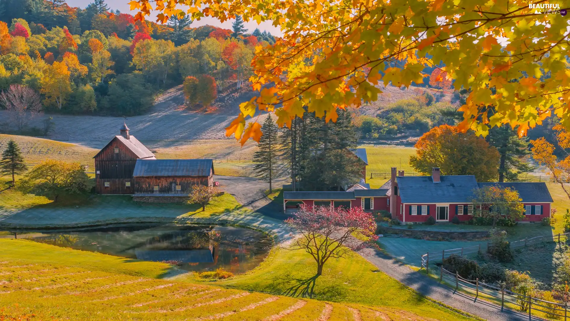 Way, State of Vermont, autumn, viewes, Houses, The United States, New England, country, trees, Pond - car