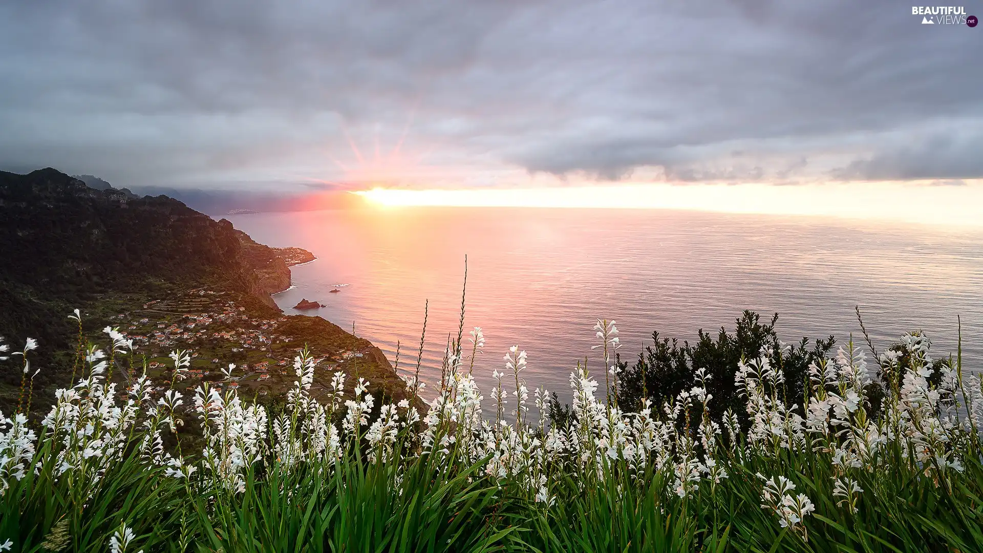 Coast, sea, Flowers, Houses, White, Sunrise