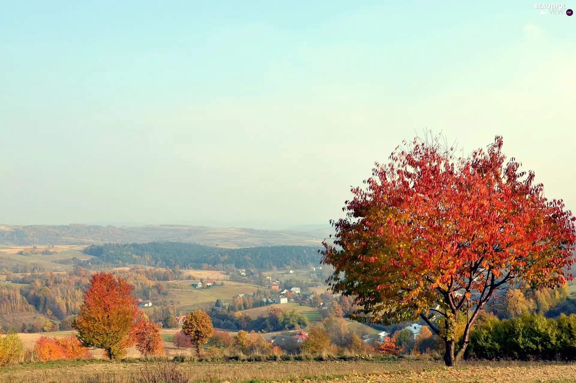 Valley, viewes, Houses, trees