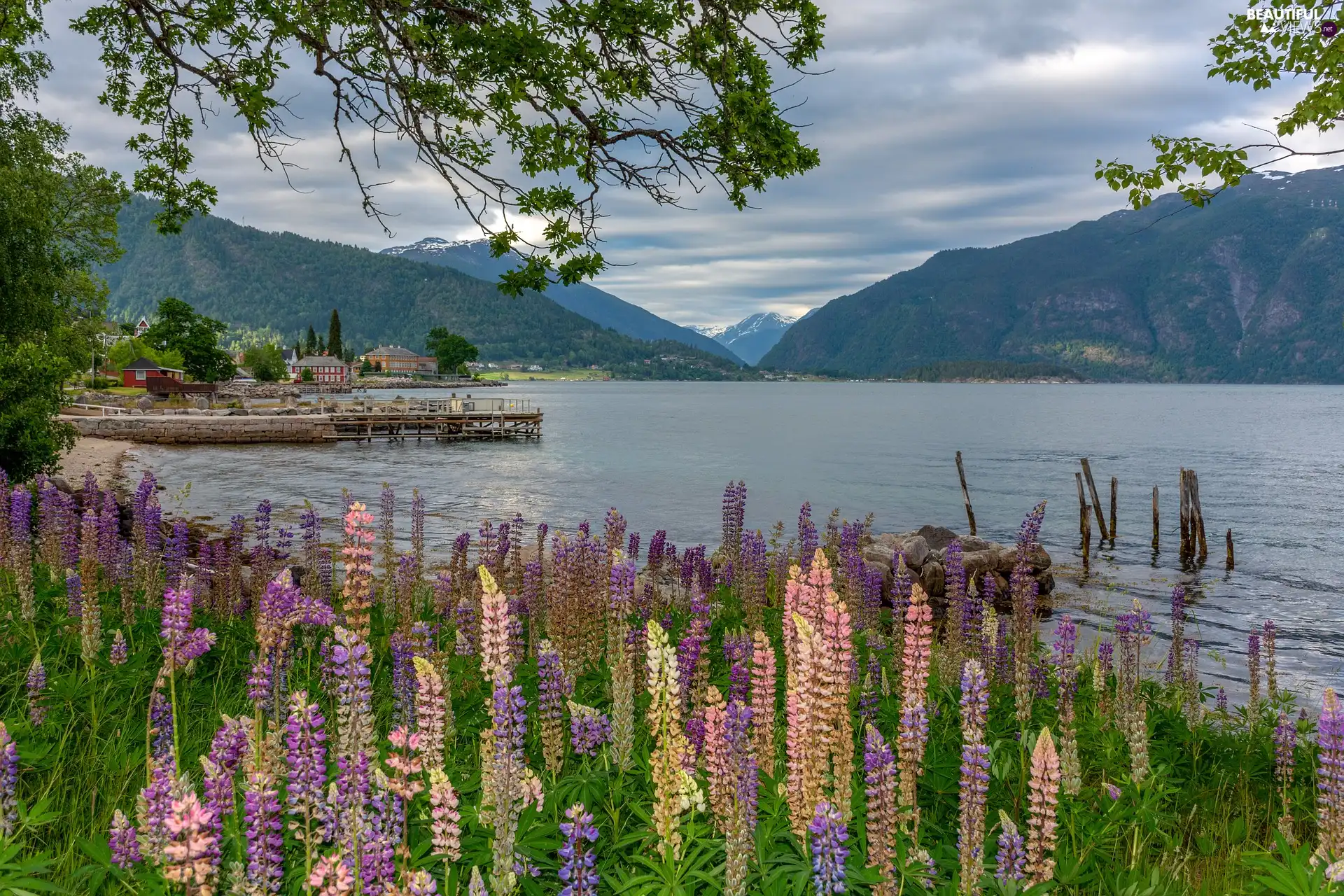 Platform, lake, viewes, Houses, Mountains, trees, lupine