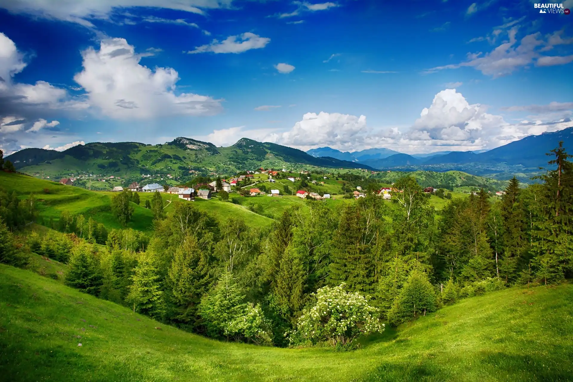 Houses, Mountains, woods