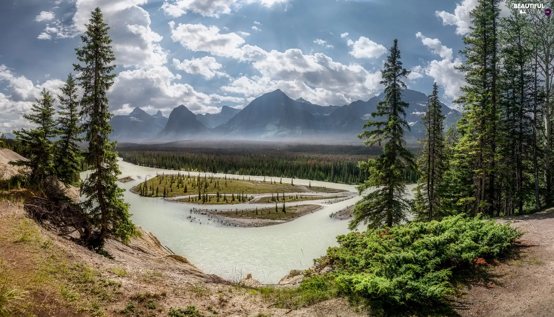 Mountains, Athabaska River, clouds, forest, viewes, Jasper National Park, Canada, trees