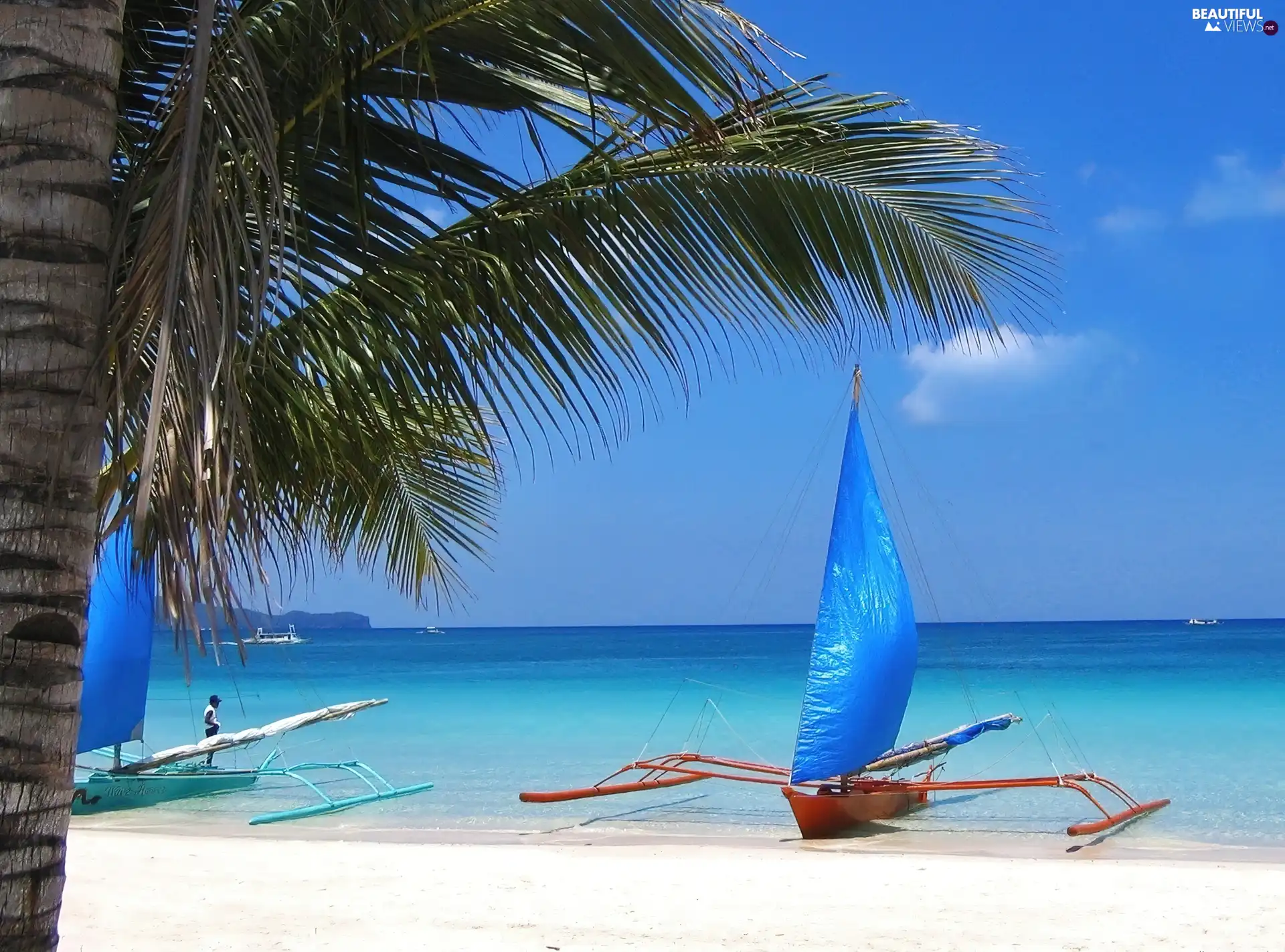 Beaches, Palms, Lajbs, sea