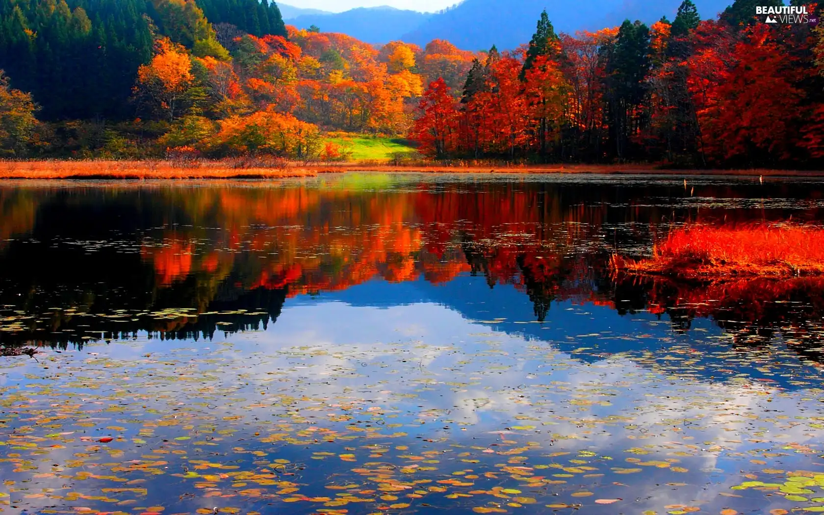 color, viewes, lake, trees