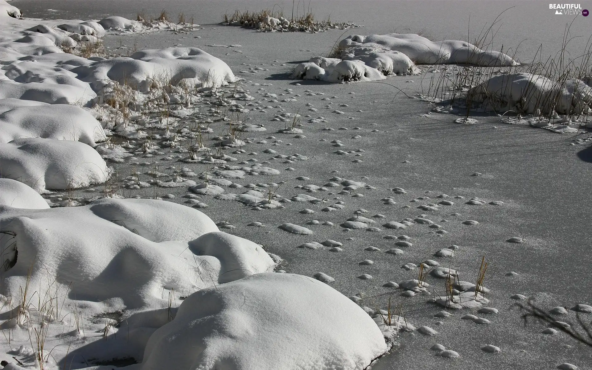 Icecream, frozen, lake, snow